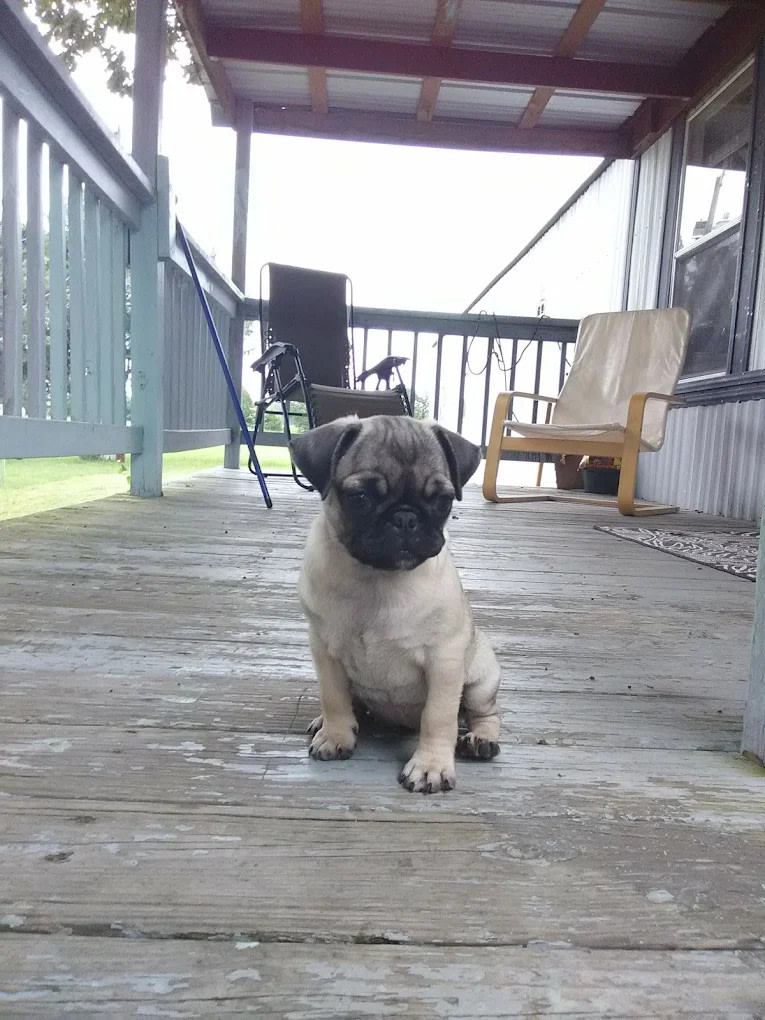 Northgate Mobile Home & RV Park