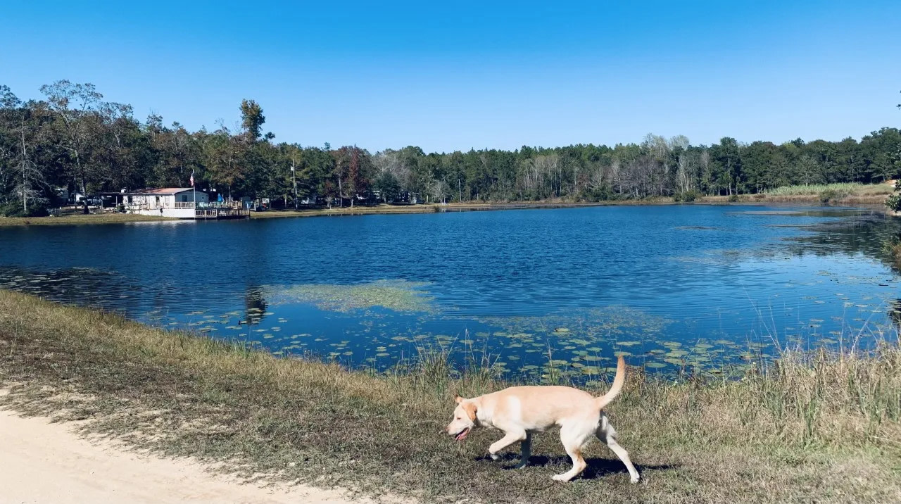 Hidden Lake Resort