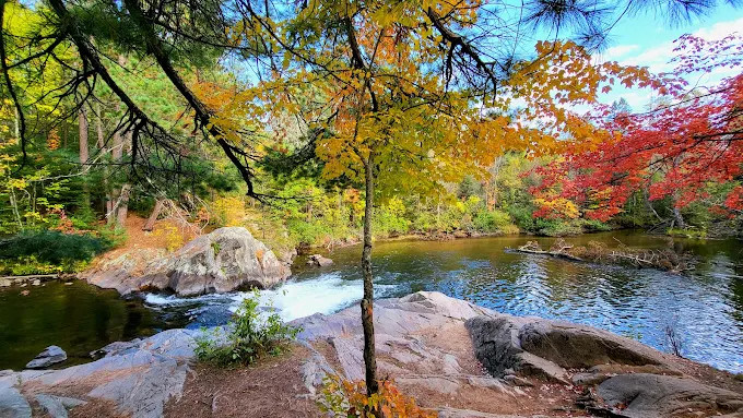 Twelve Foot Falls Park