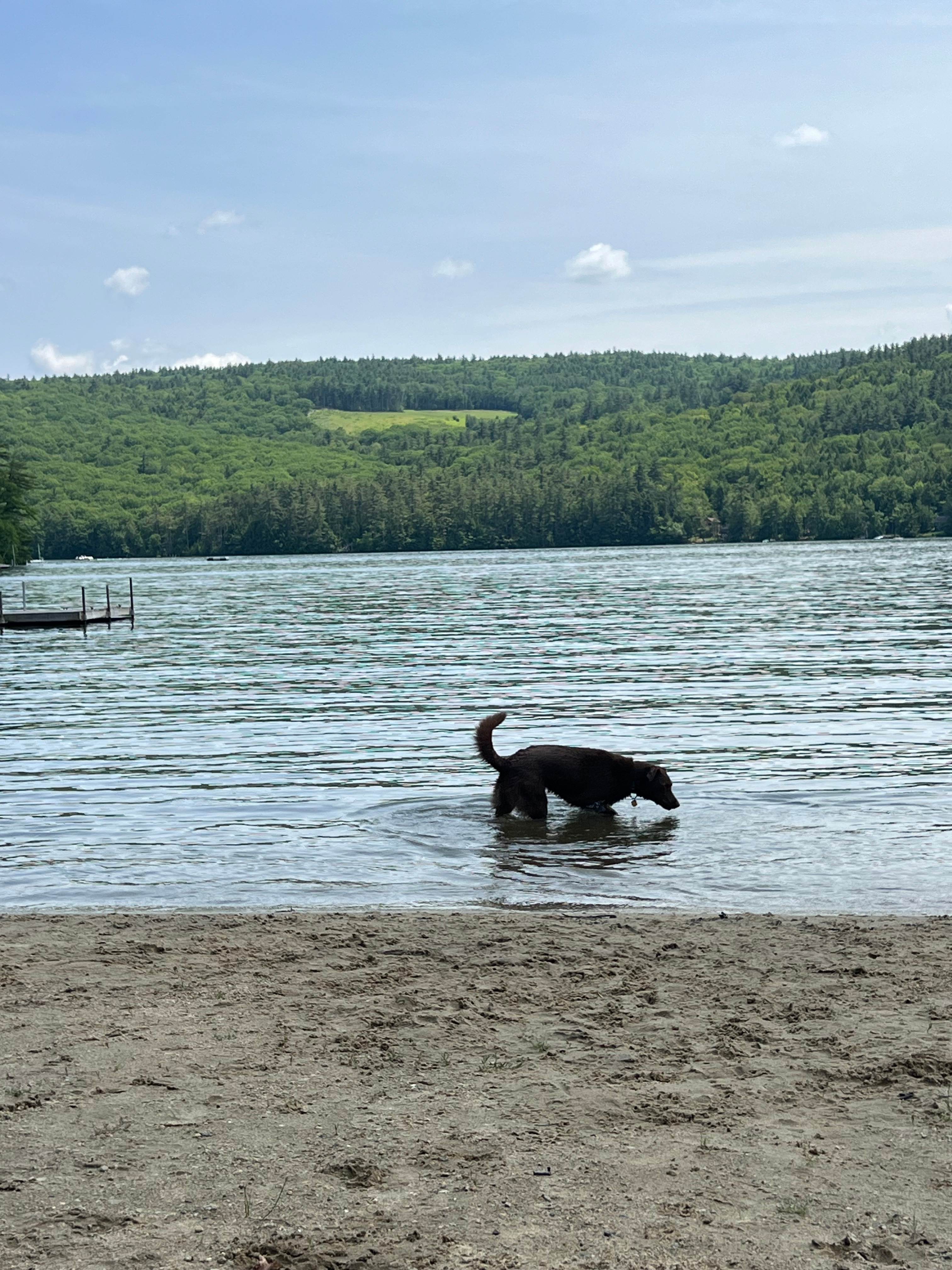 Cottage Place On Squam Lake