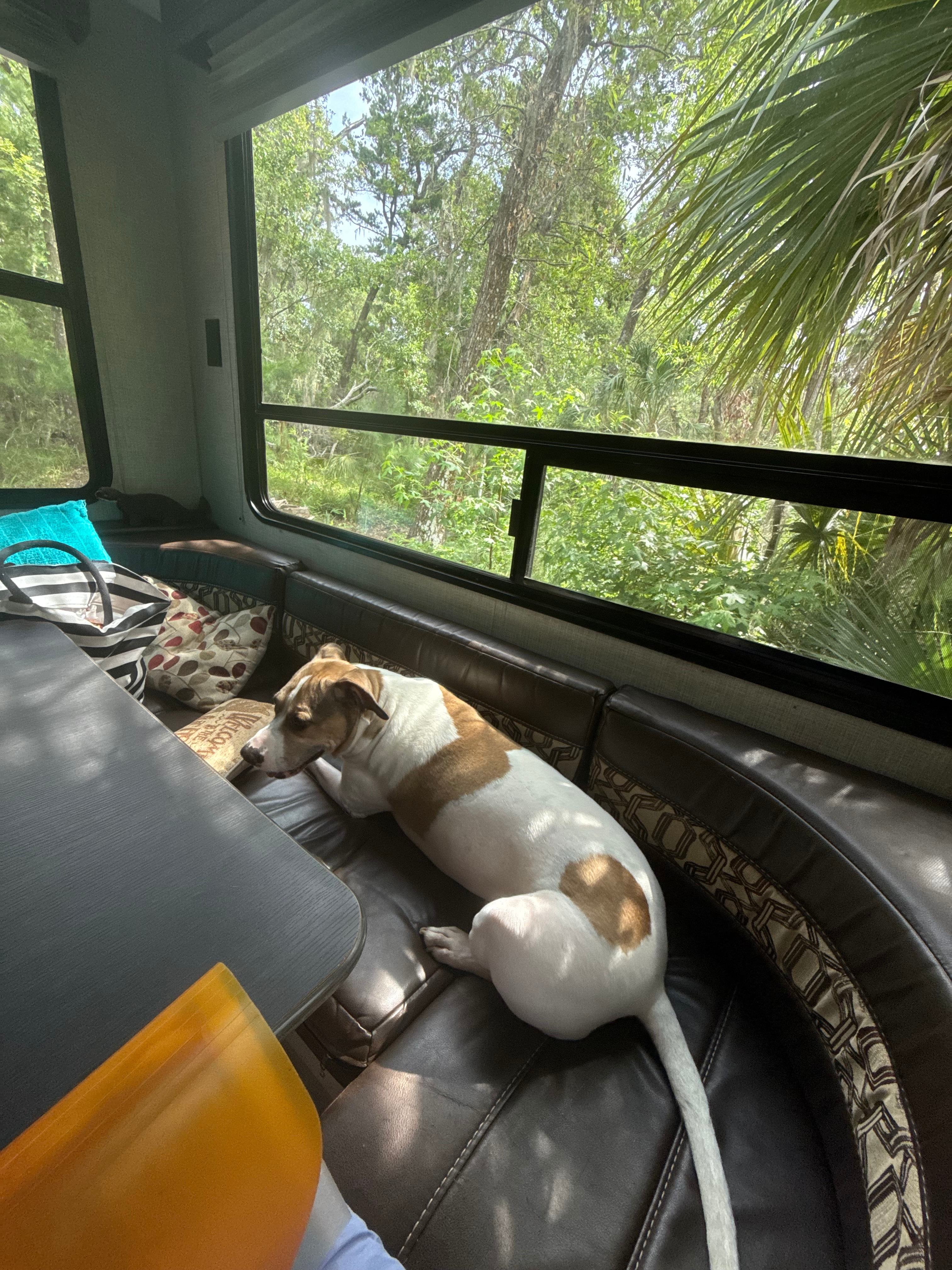Edisto Island Vacation Rental RV