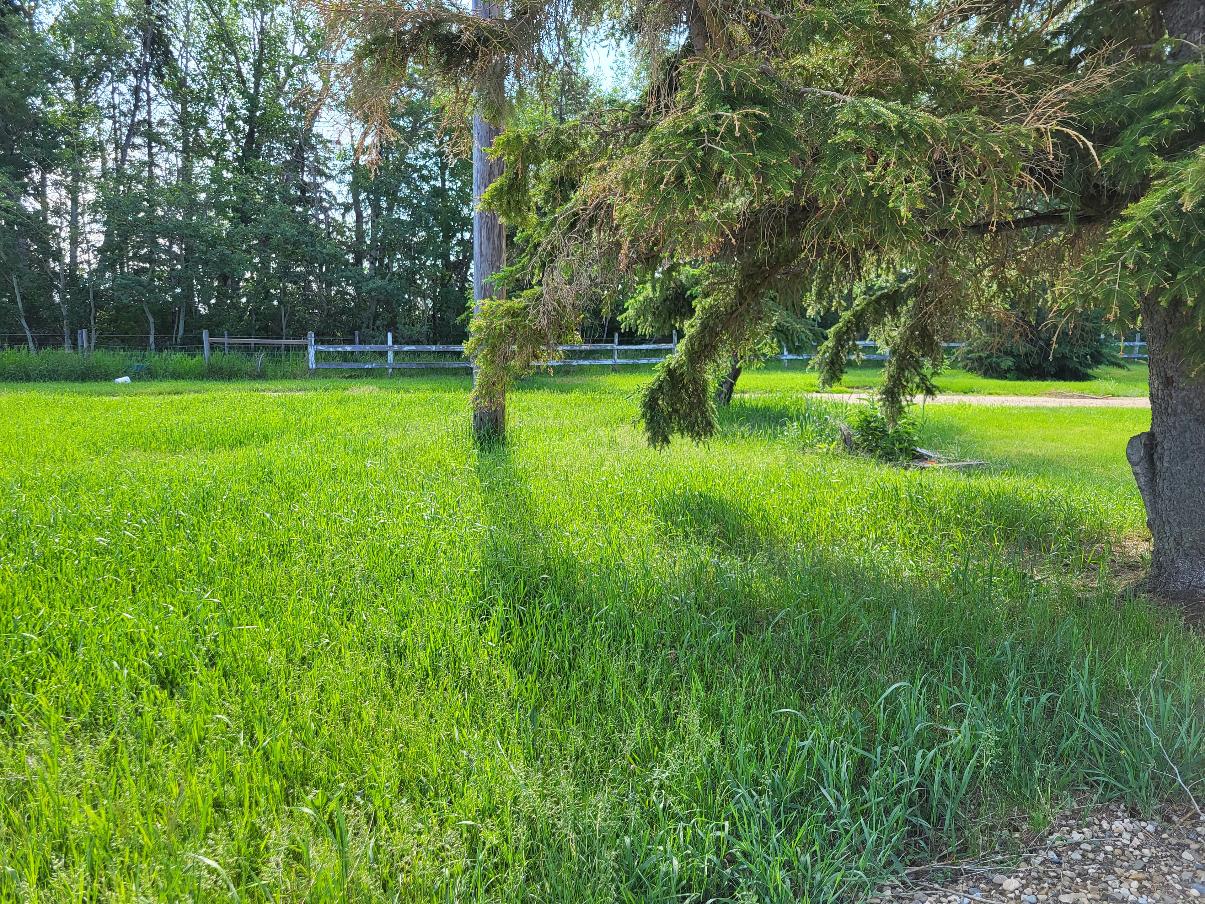 Cloutier Ranch