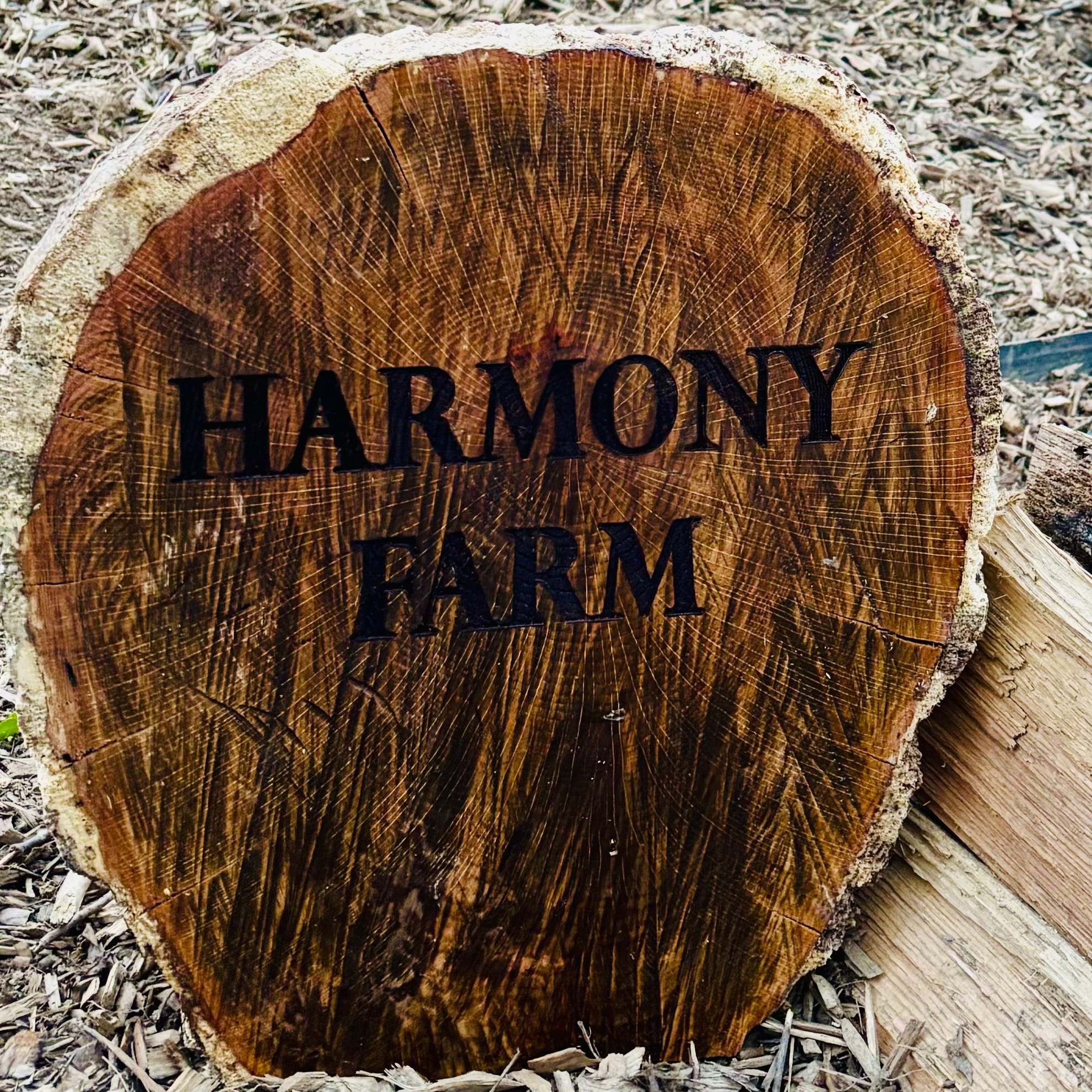 Harmony Farm and Escape