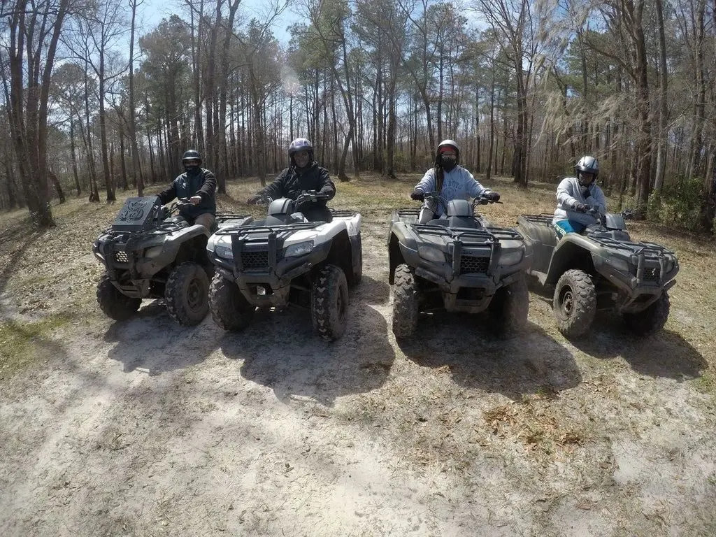 Carolina Backwoods