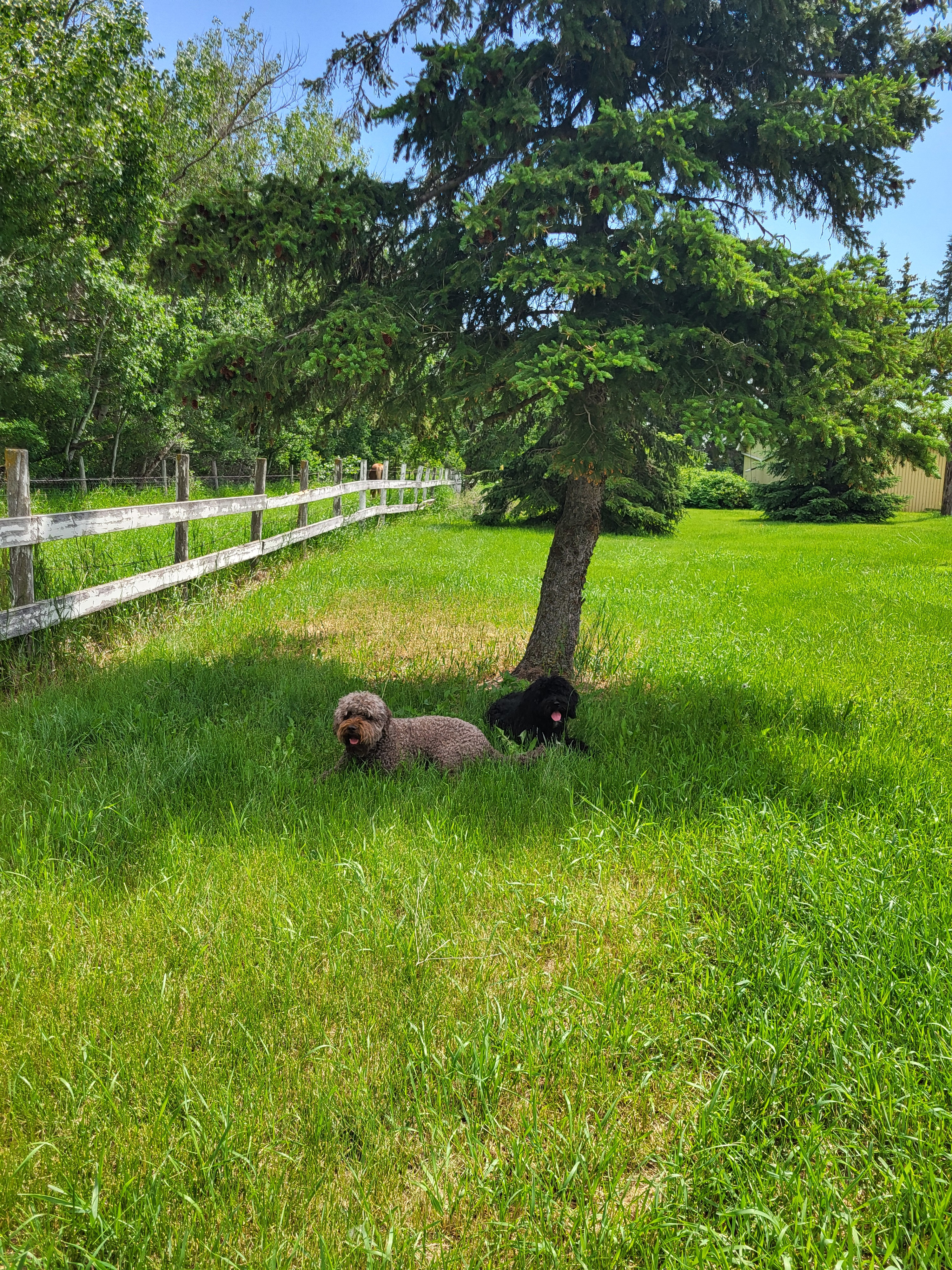 Cloutier Ranch