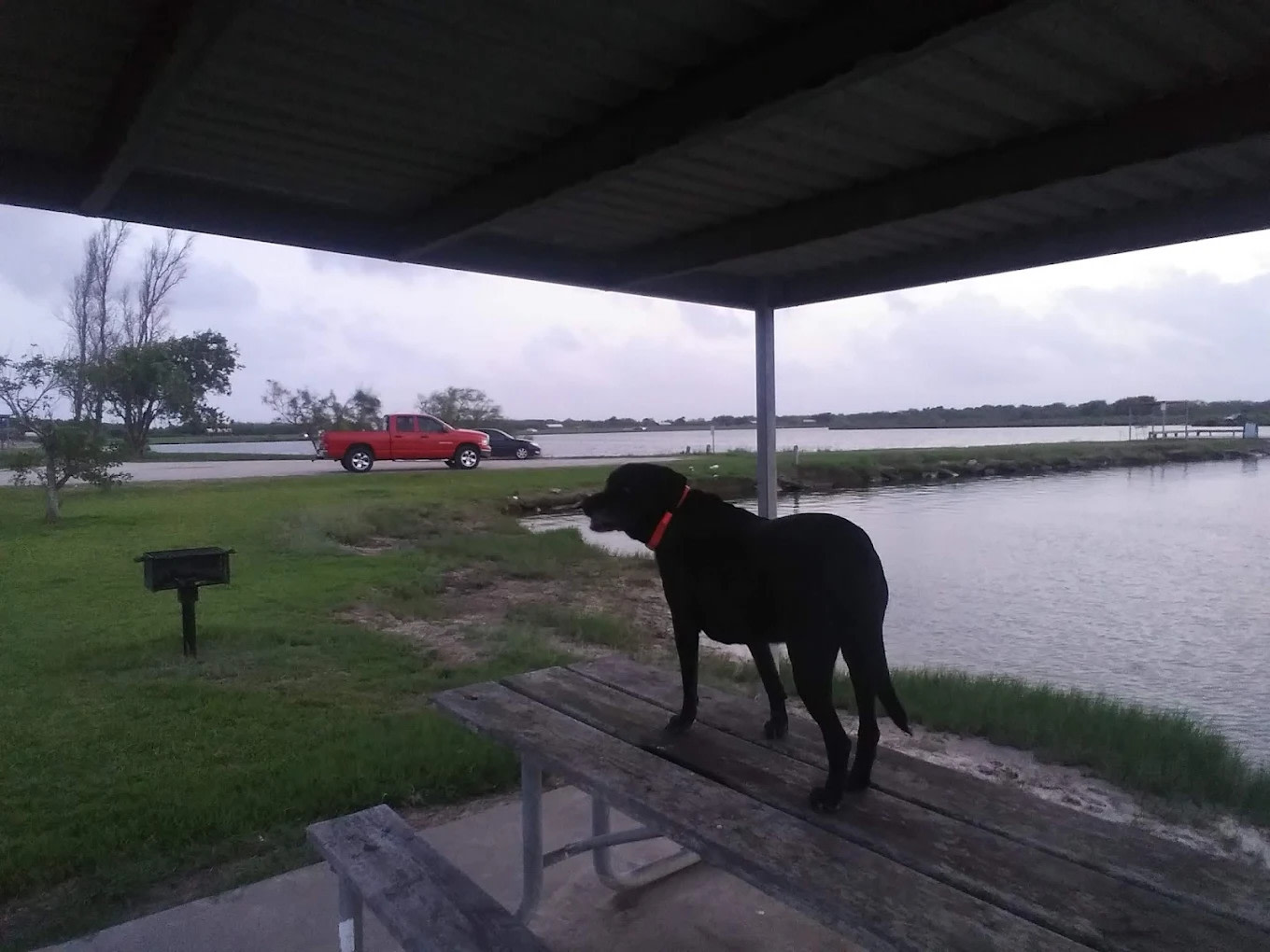 Ron Hoover Oasis RV Park