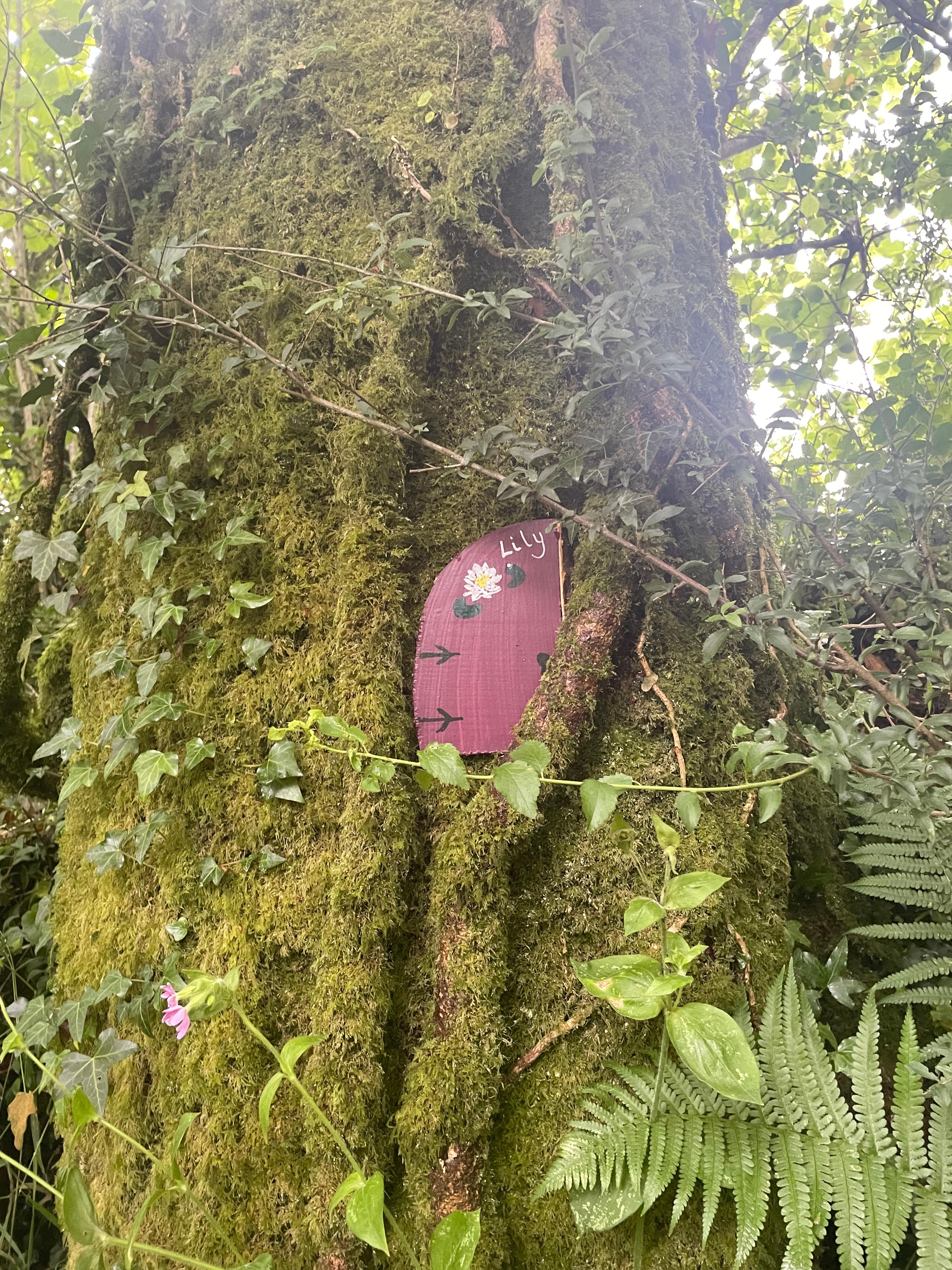 Pencwm Escapes