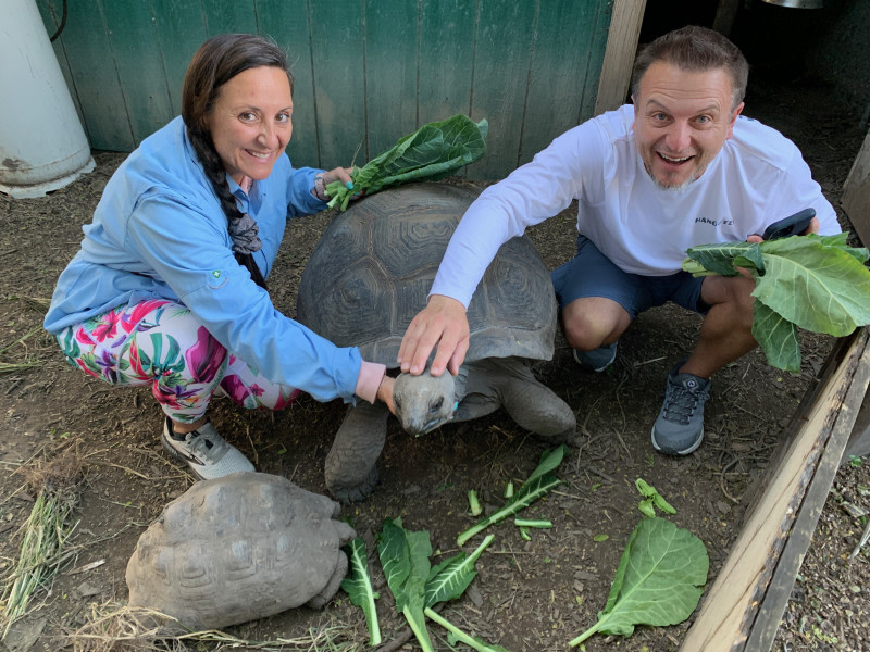 Feed the Tortoises