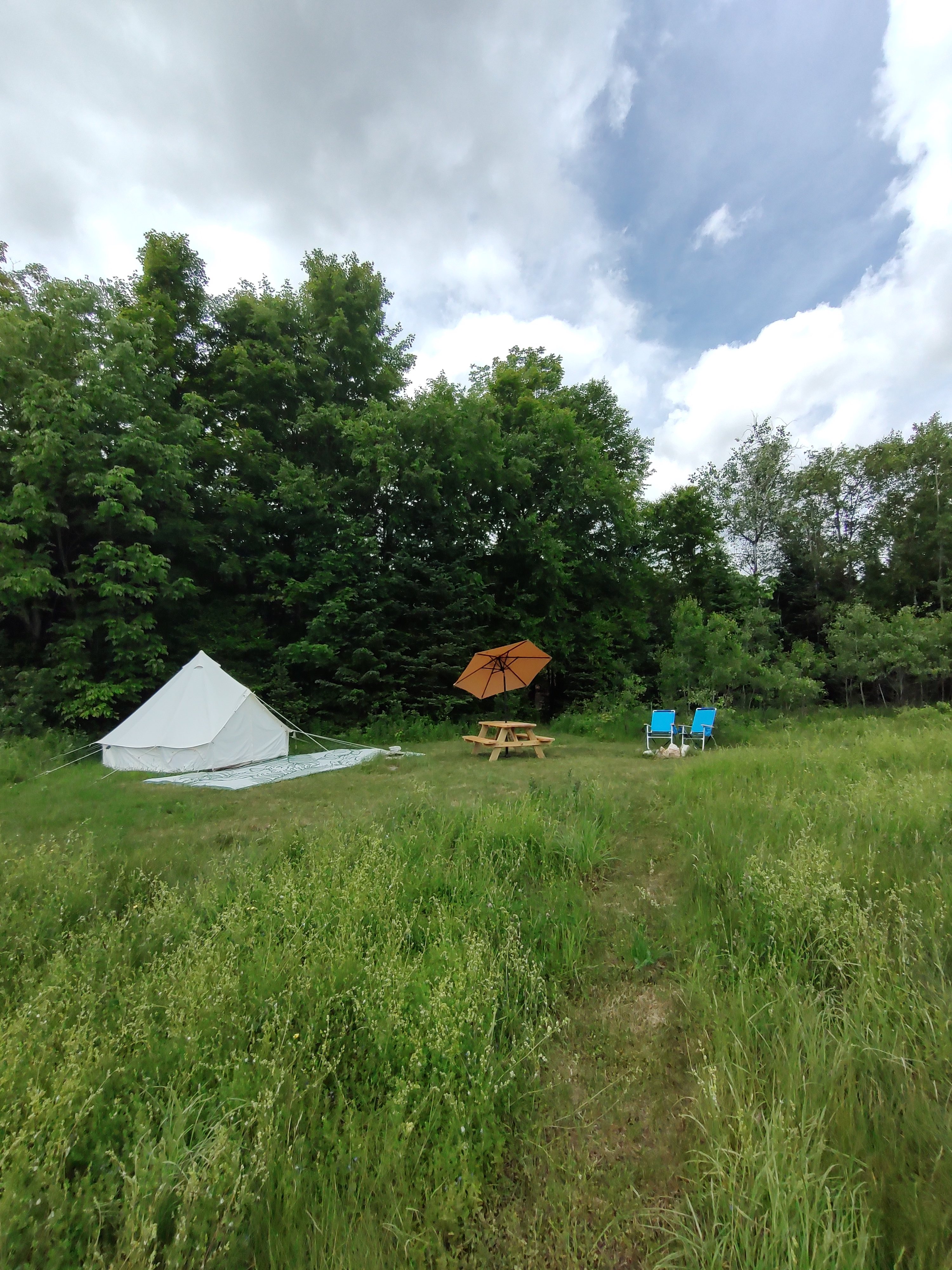 Golden Birch Sanctuary