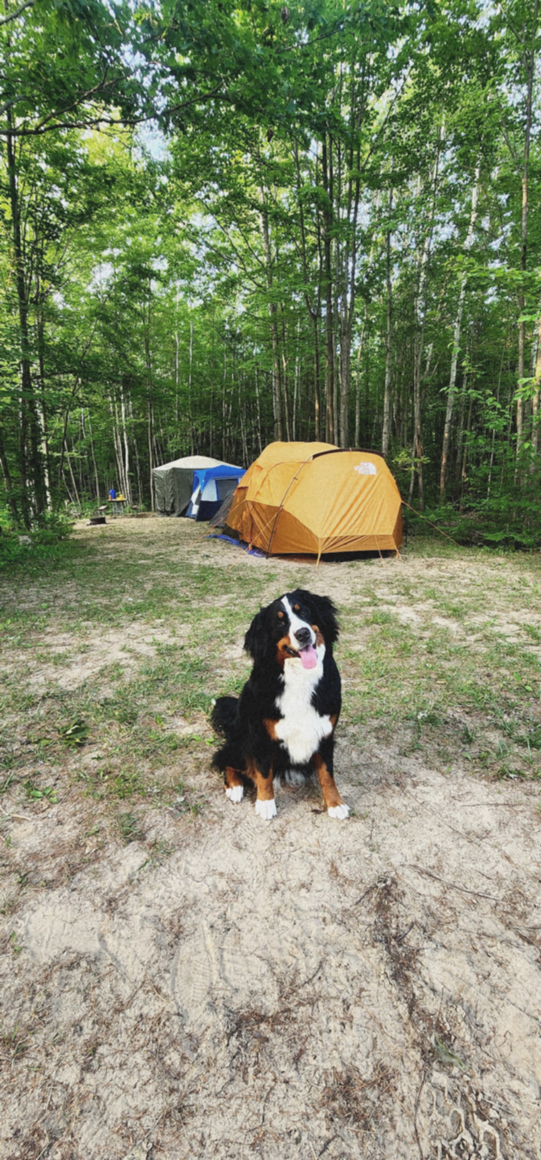 Chippewa Henge Camp