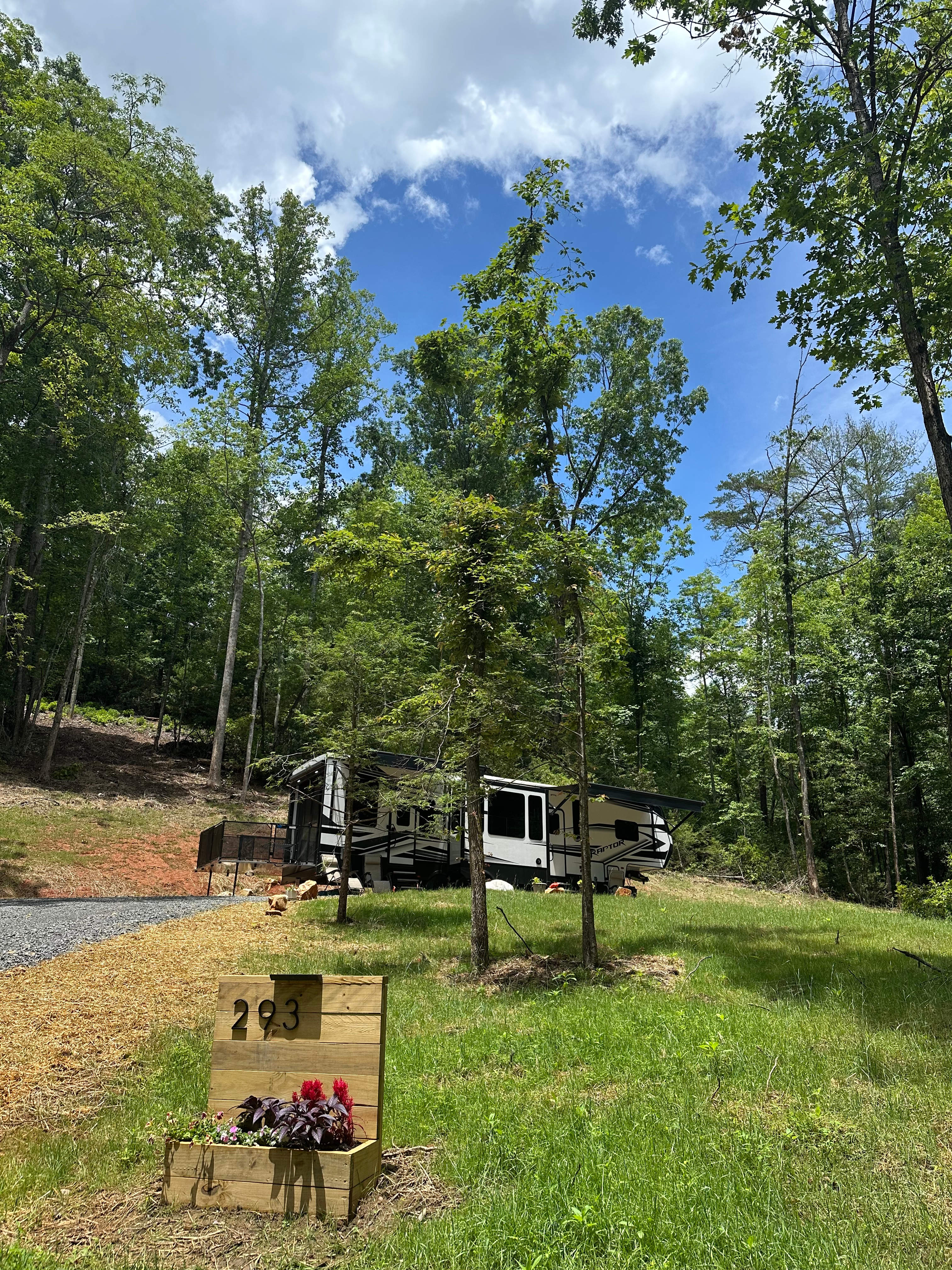 Deer Trails at Stone Mountain