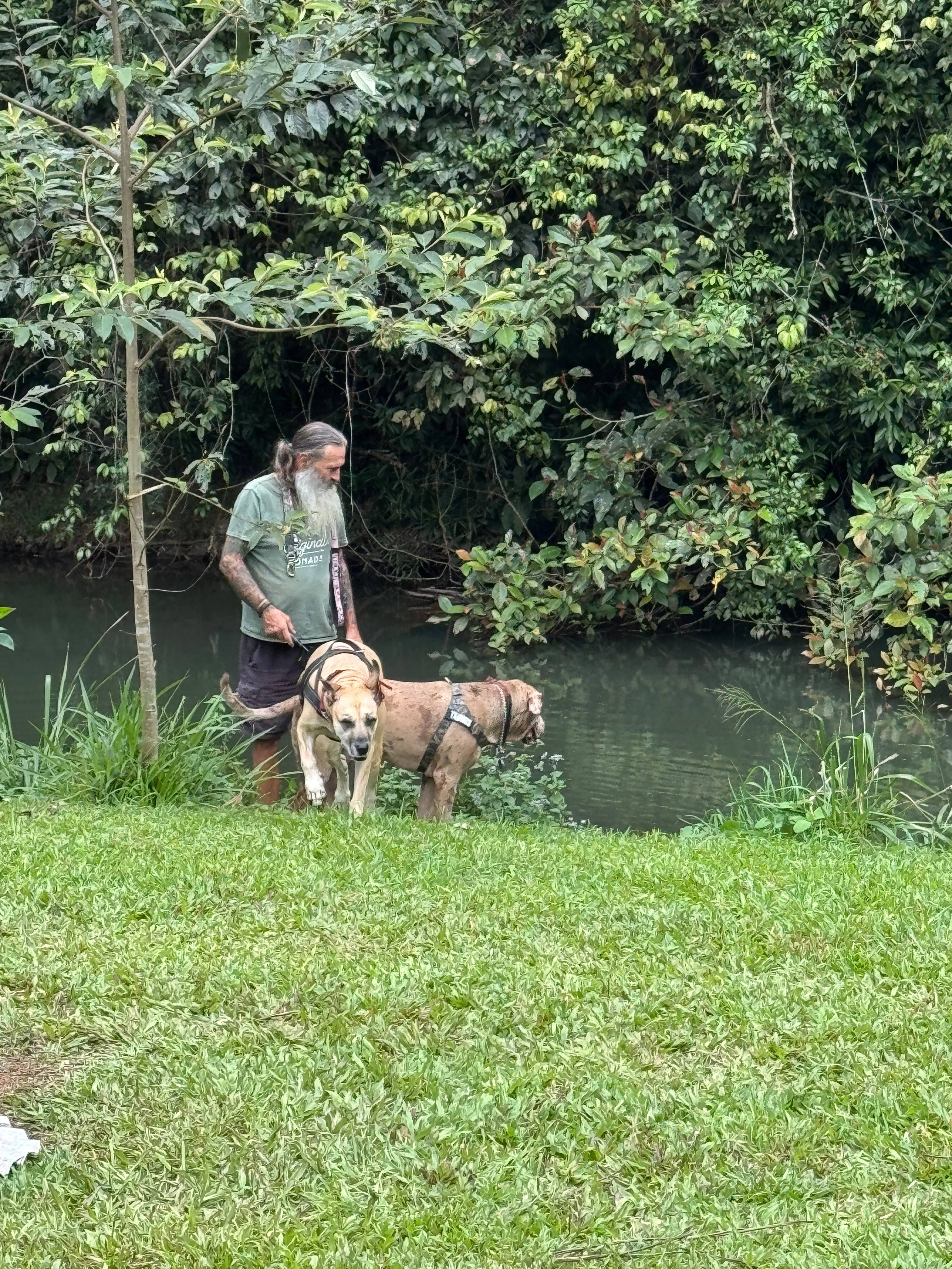Gorgeous creek with platypus. 