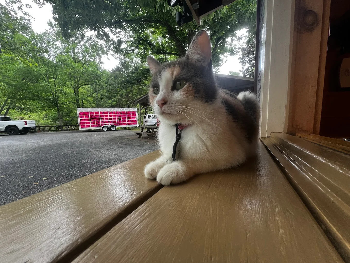 Toccoa Valley Campground Tubing