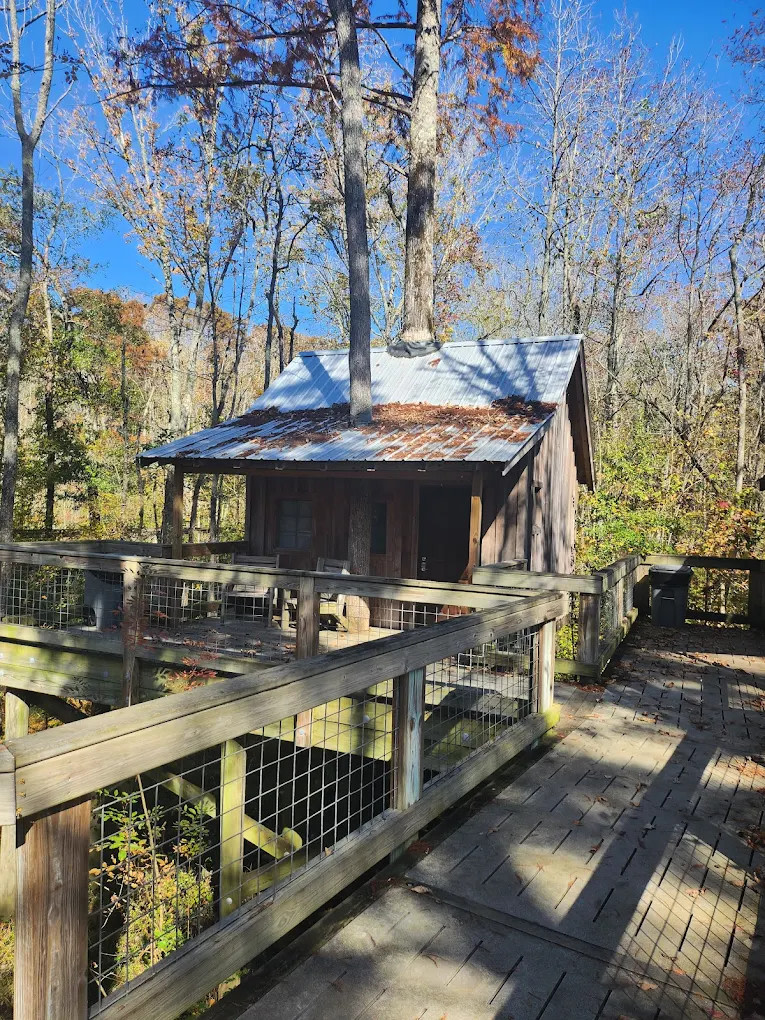 Cashie River Treehouses and Campground