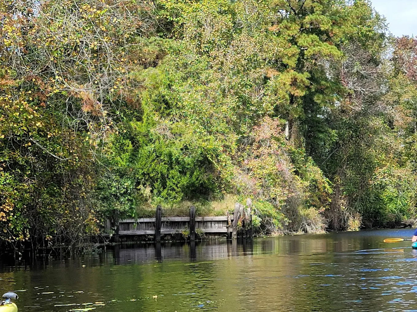 Cashie River Treehouses and Campground