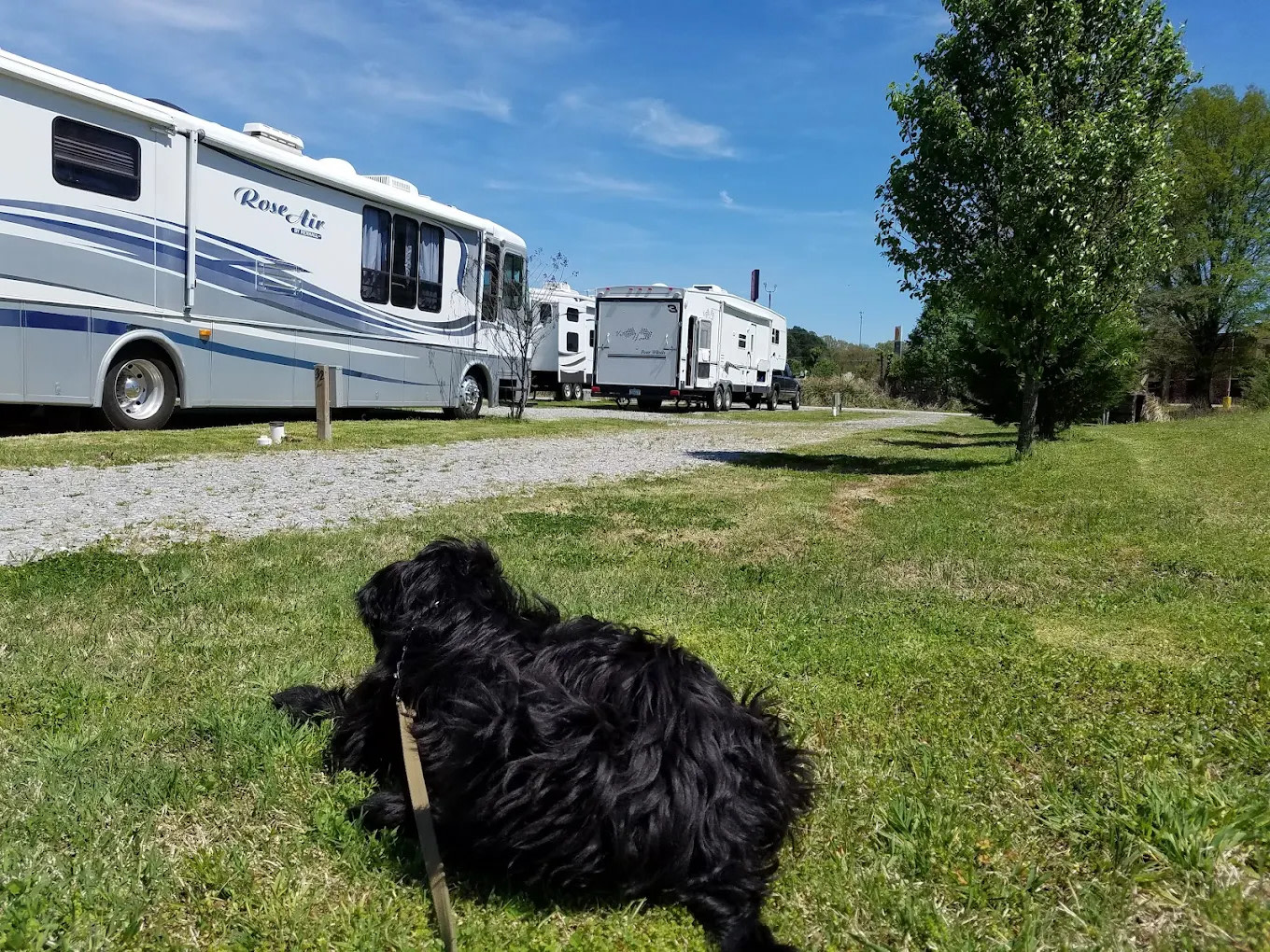 Delta Ridge RV Park