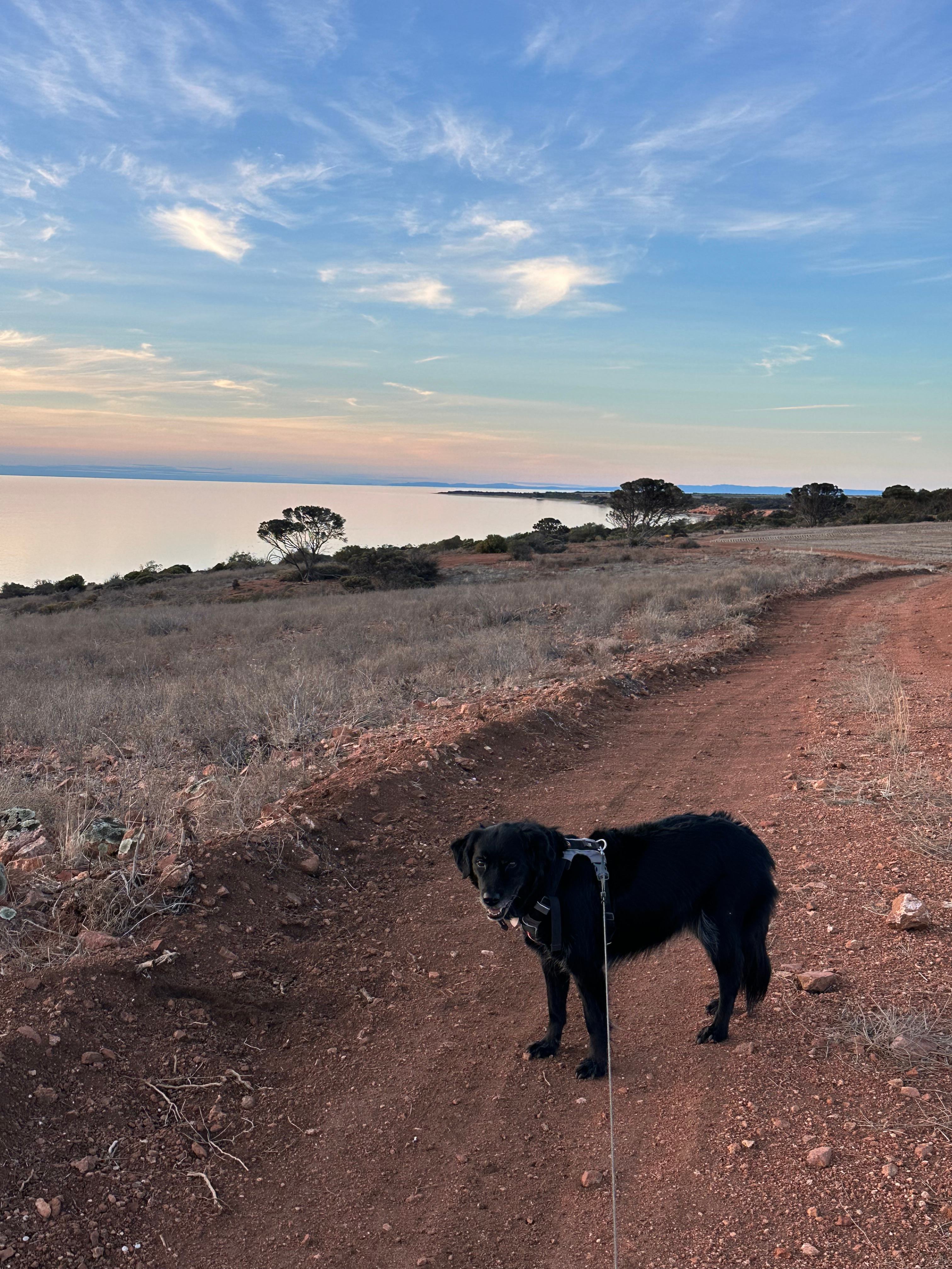 Beautiful views along the tracks 