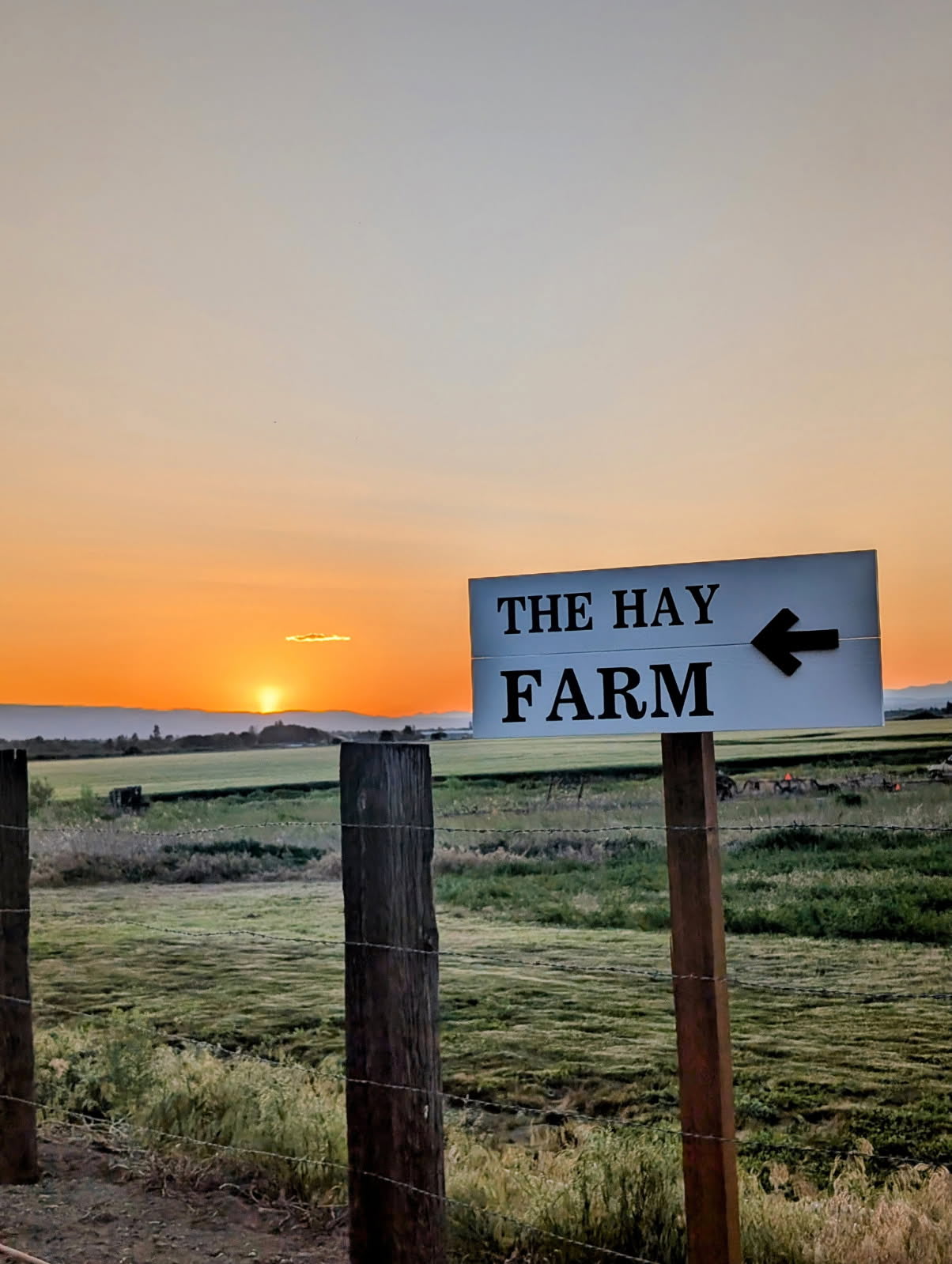 The Hay Farm