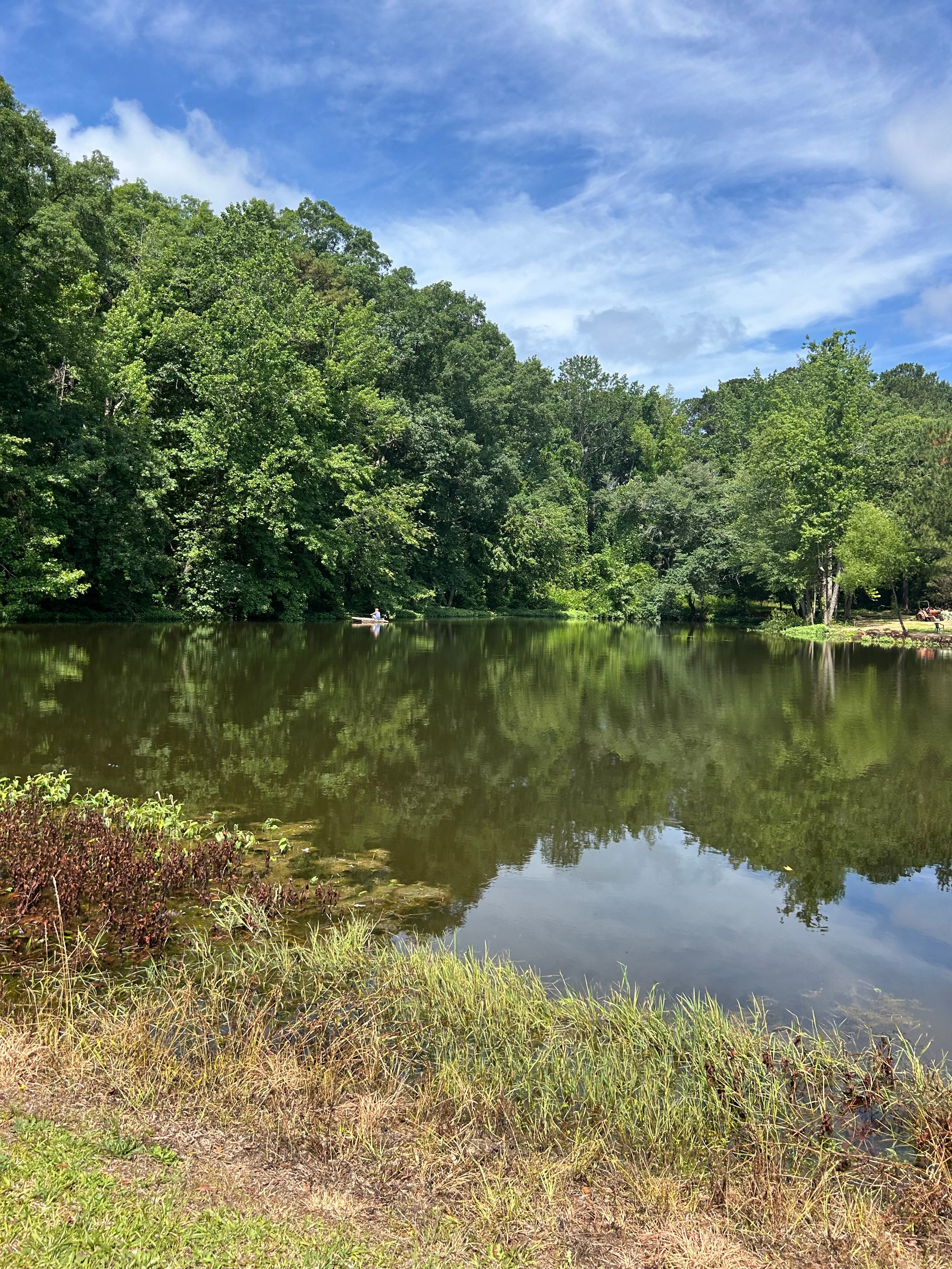 Emma’s Forest Hideaway