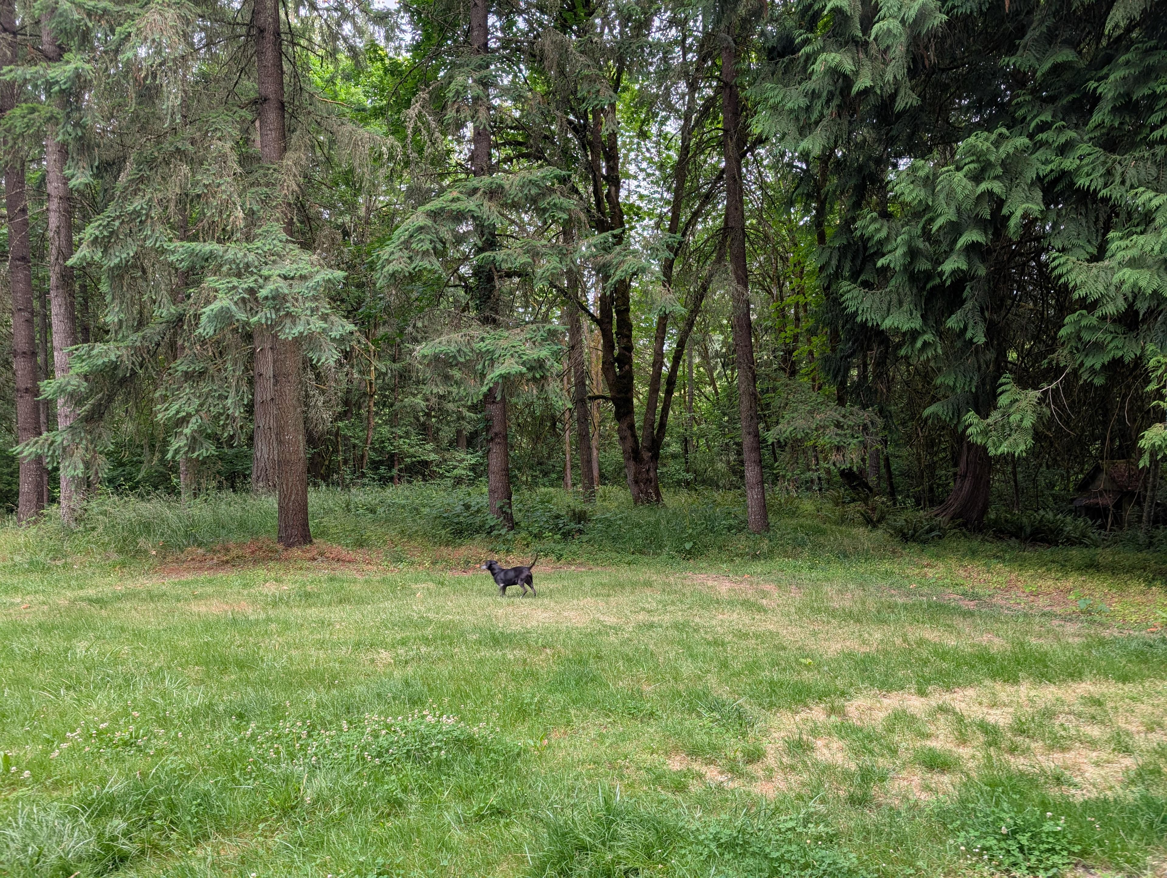 Helvetia Hideaway