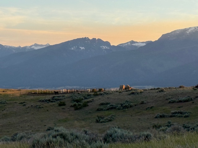 Bear Camp