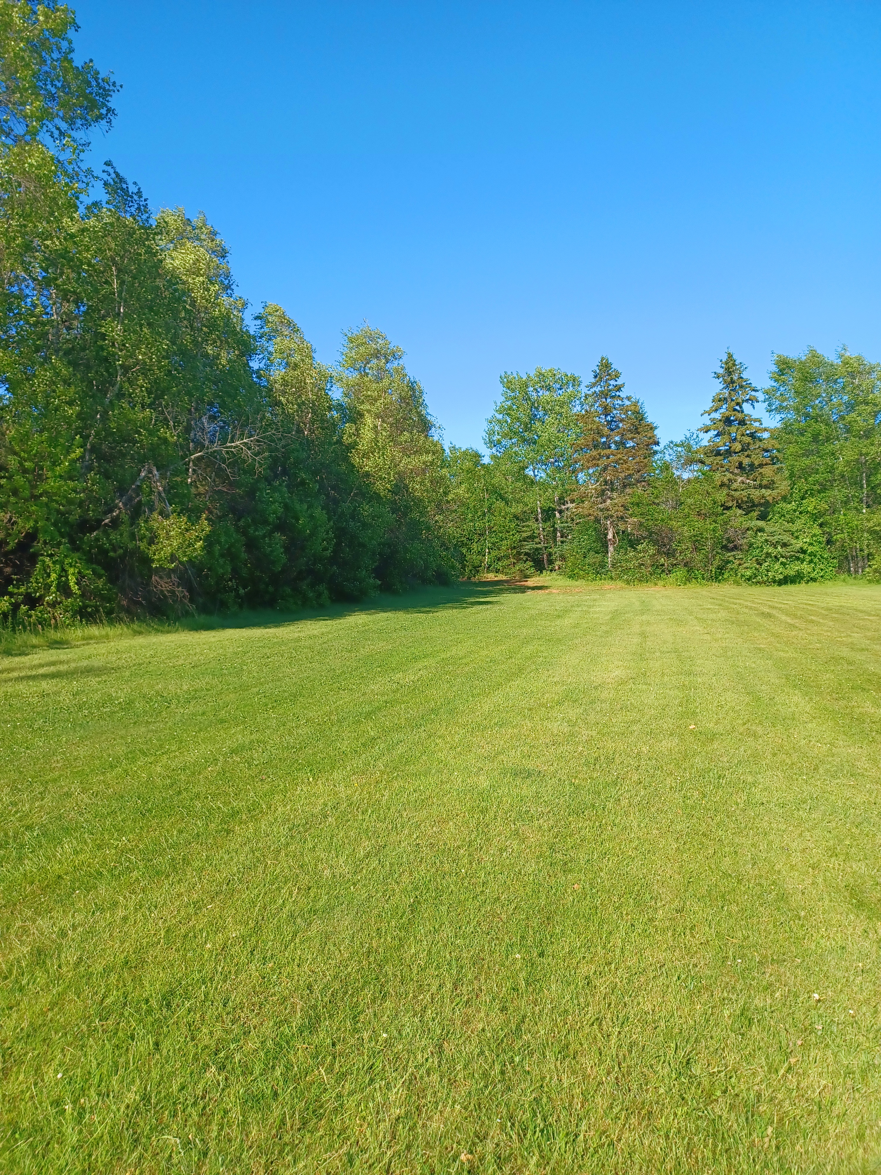 Peaceful Acre Camp