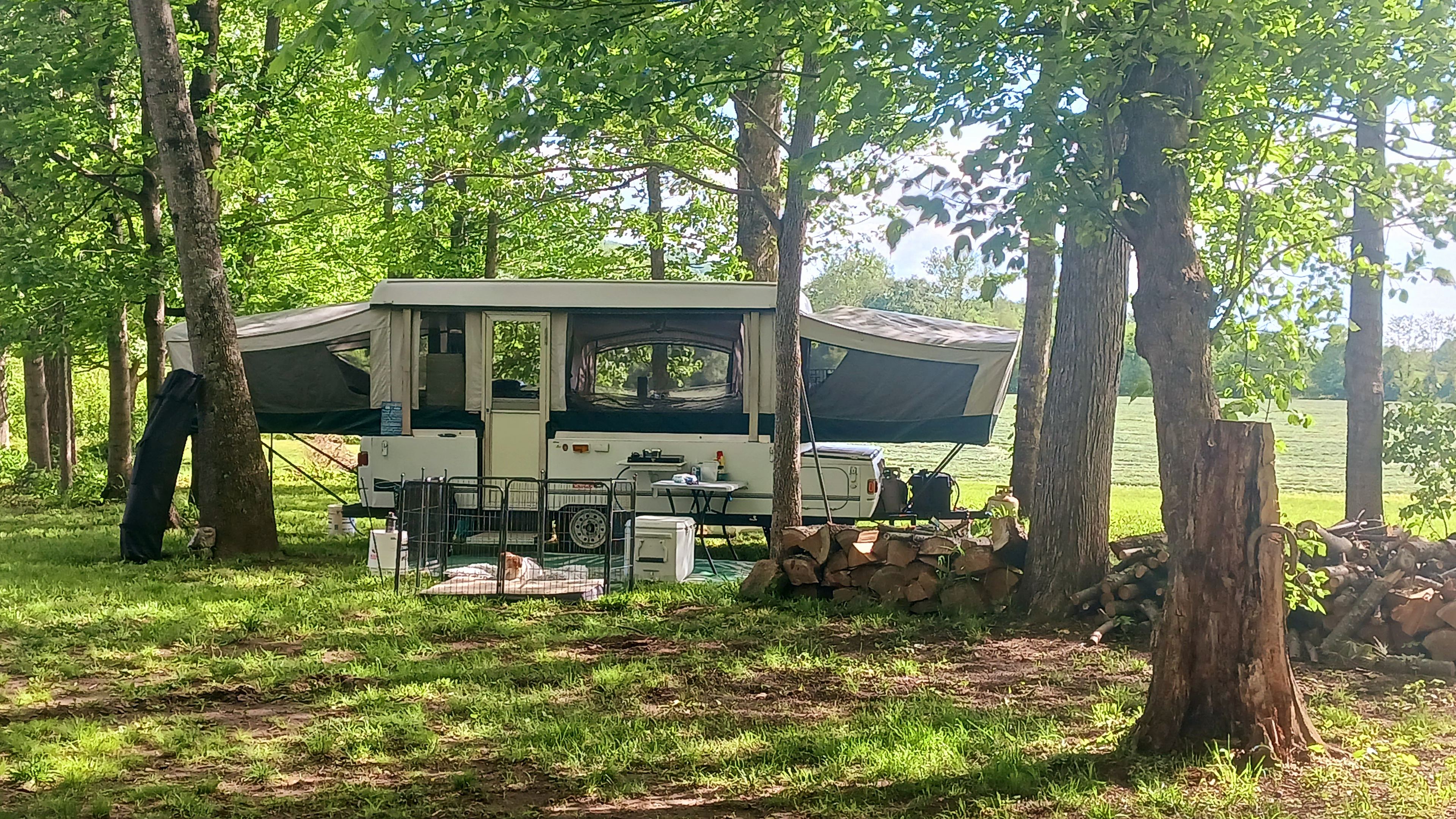 Camping in the shade on the river