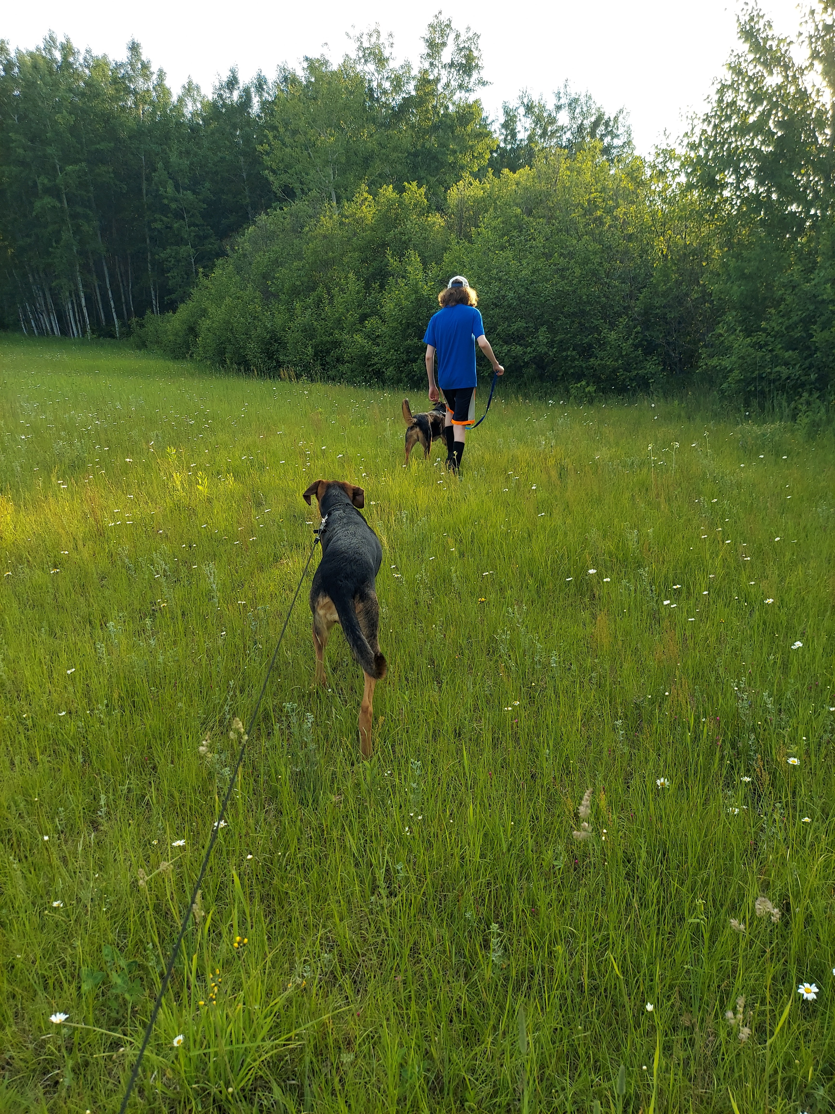 I Live in the Country