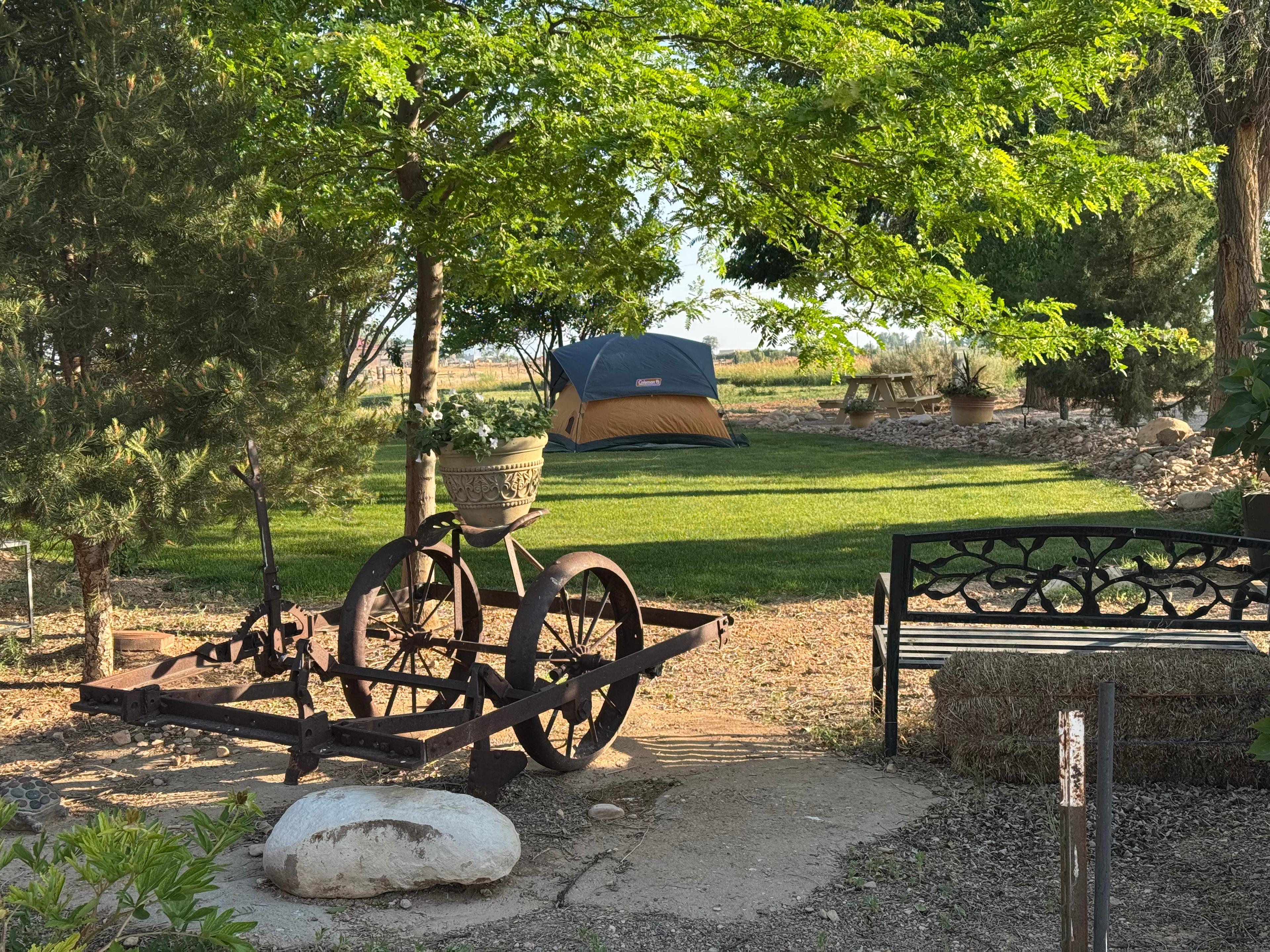 Welcome to the Farm
