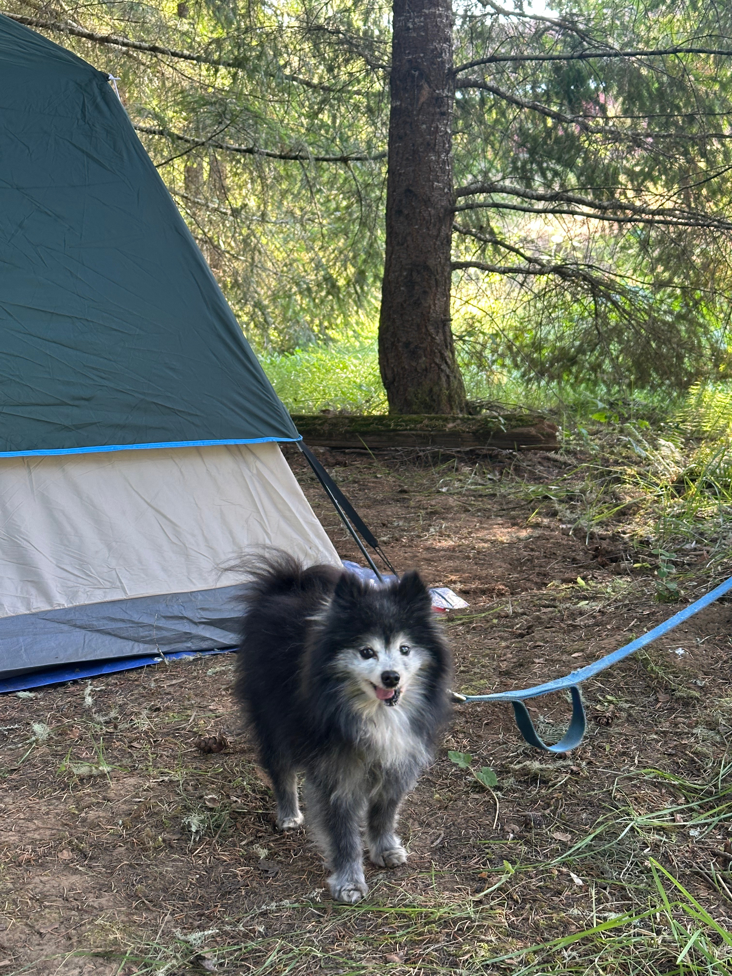 Applegate Century Farm