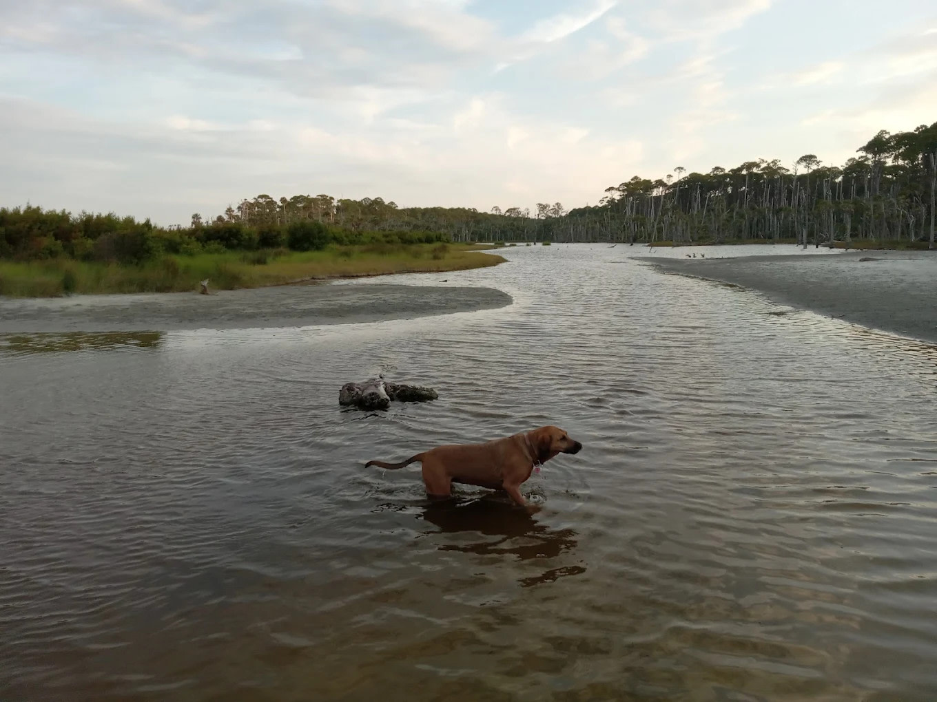 Hunting Island Campground