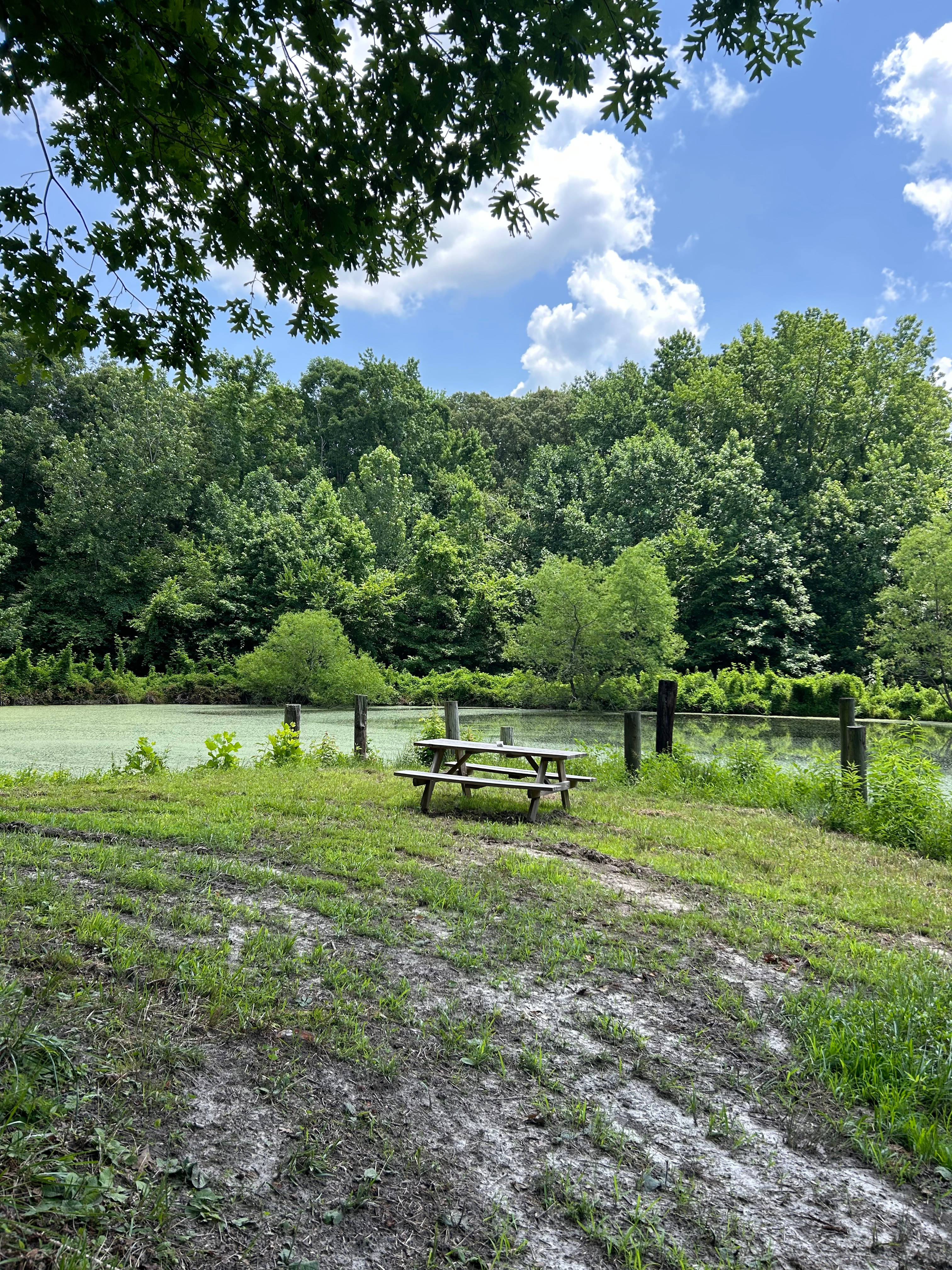 Camp Winnie