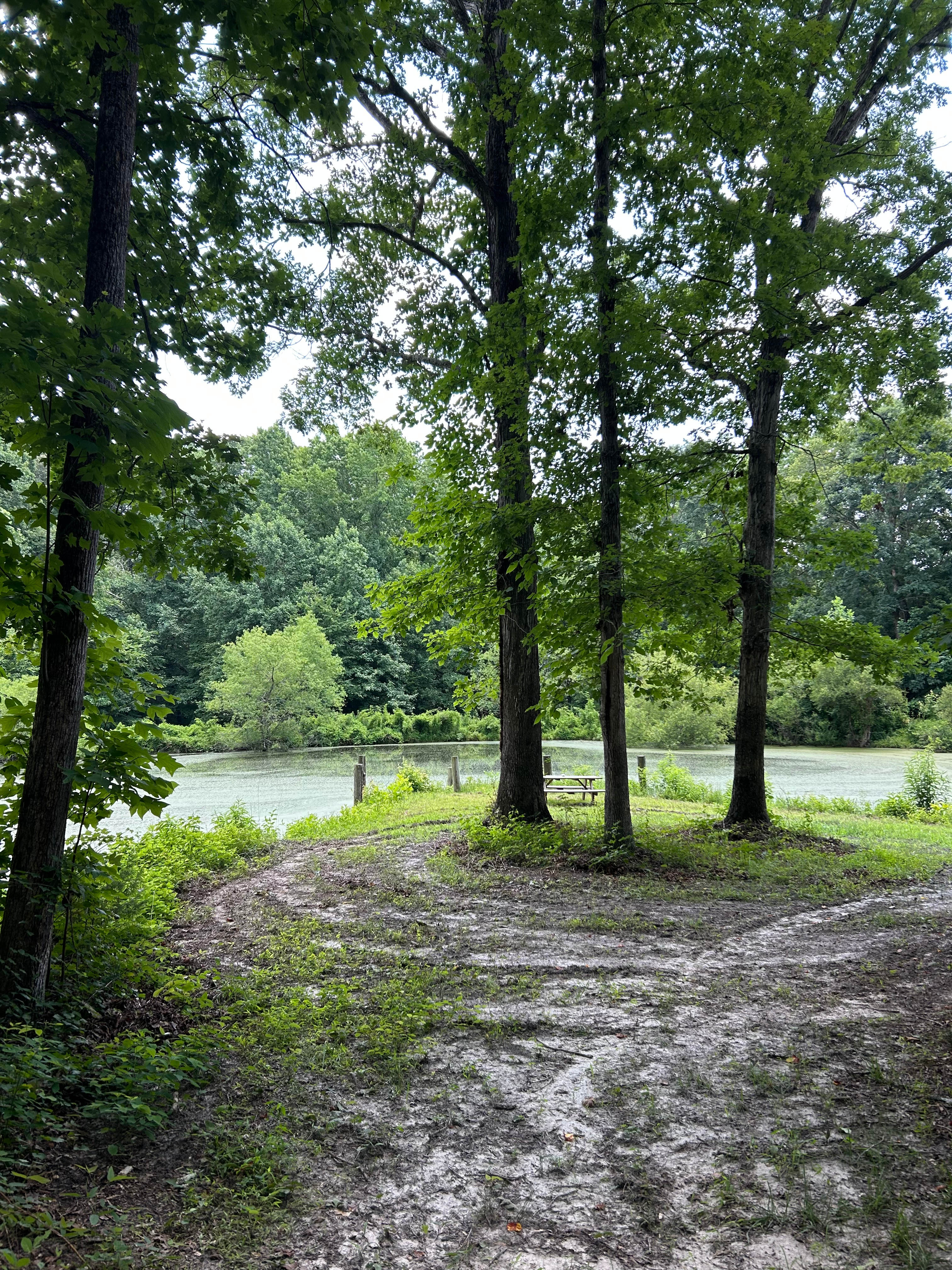 Camp Winnie