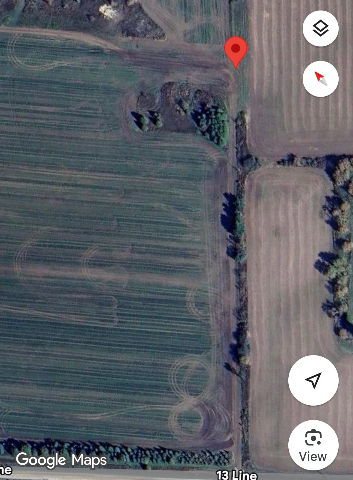 Farm Field Campsite
