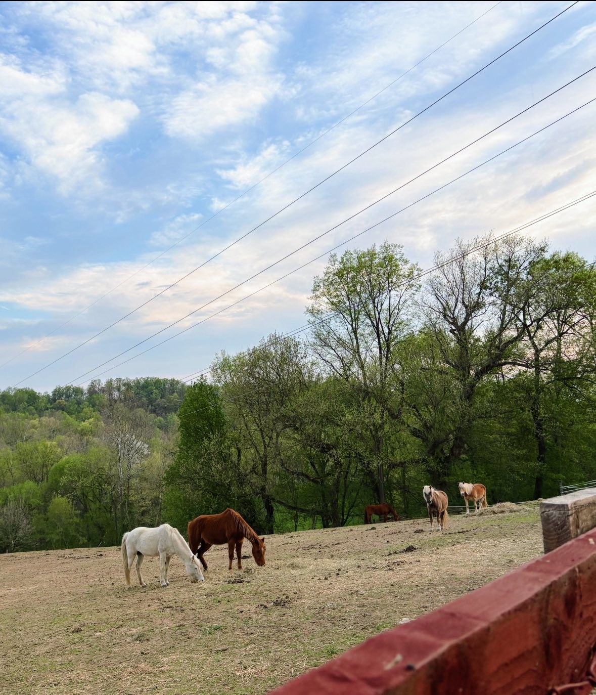 Promised Land Campground