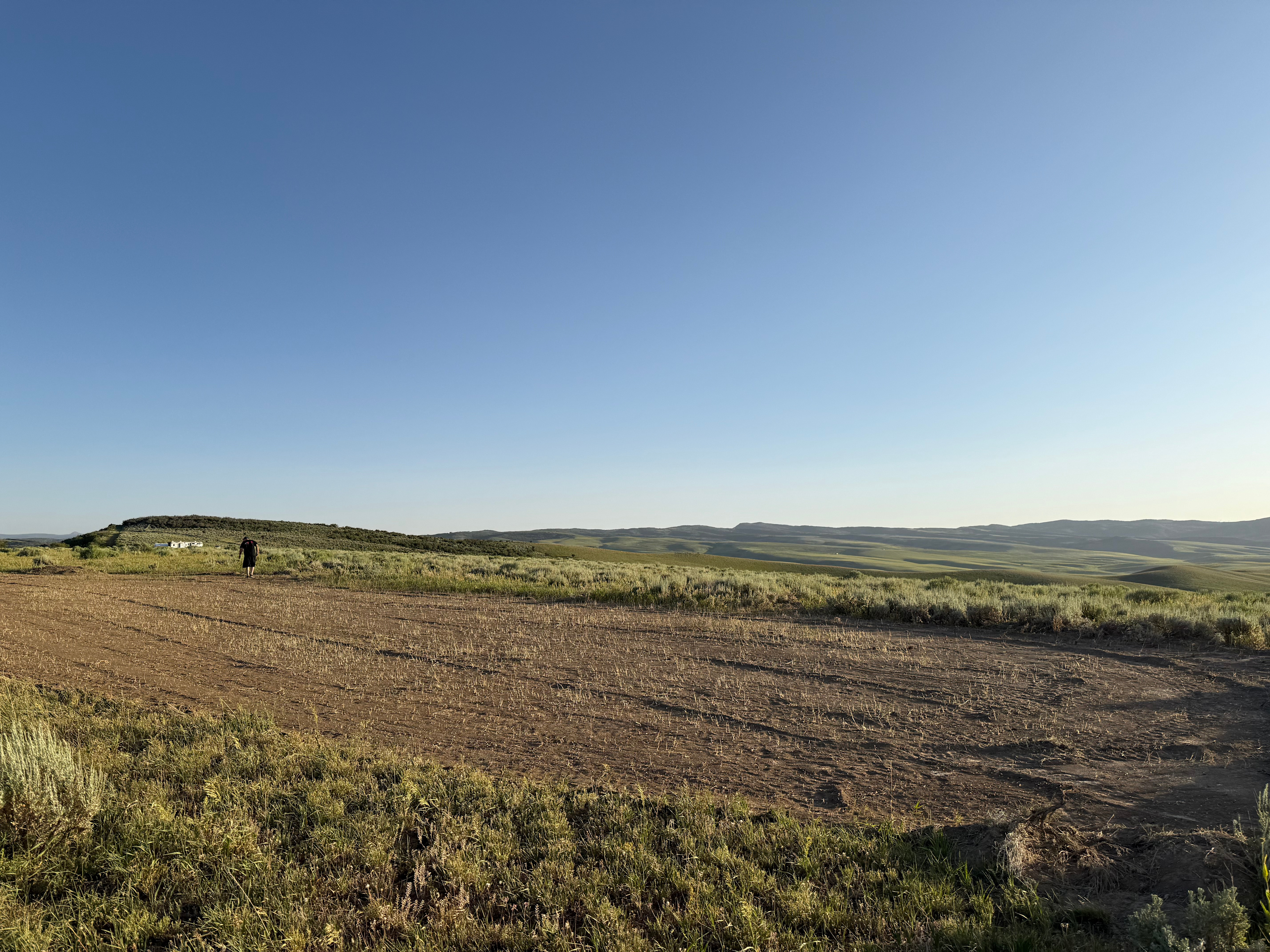 Sagebrush Solitude