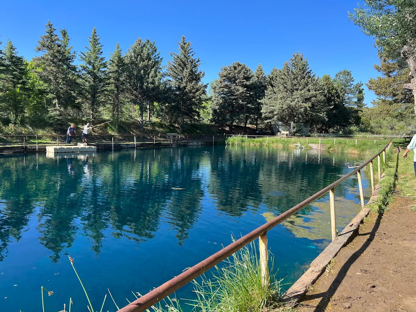 Seeping Springs Trout Lakes & RV Park