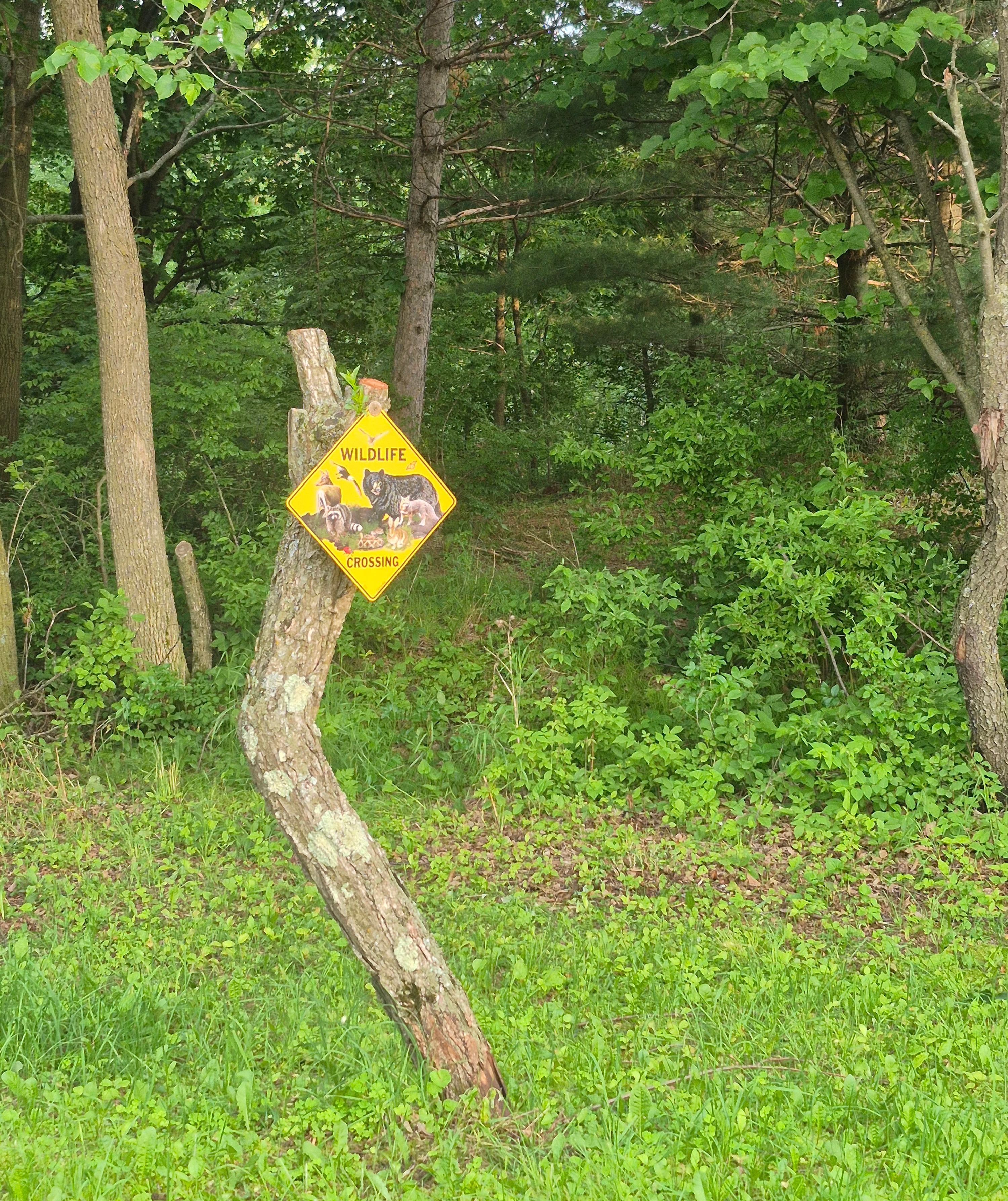 Corner Creek Ranch