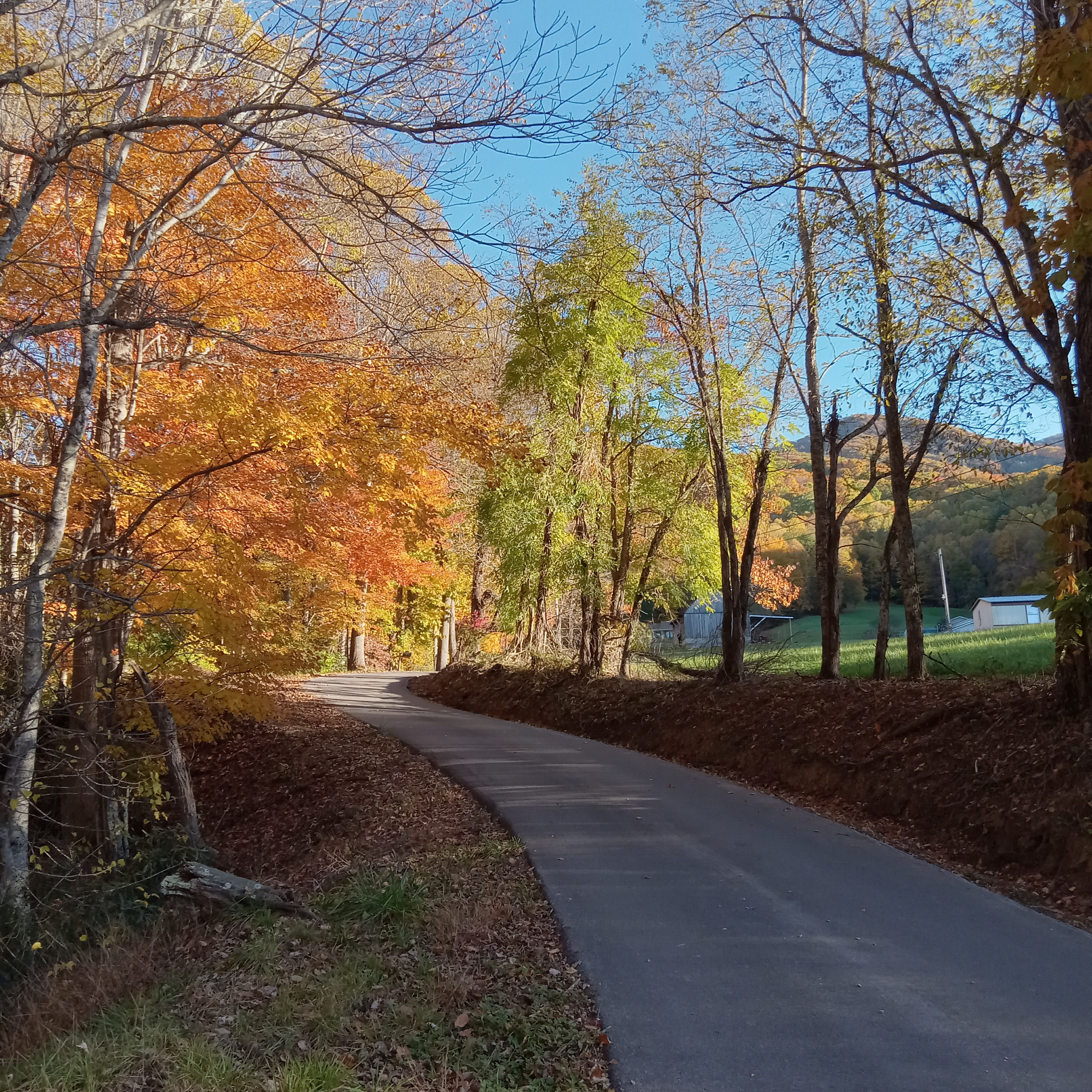 Healing Waters Mountain Lodge