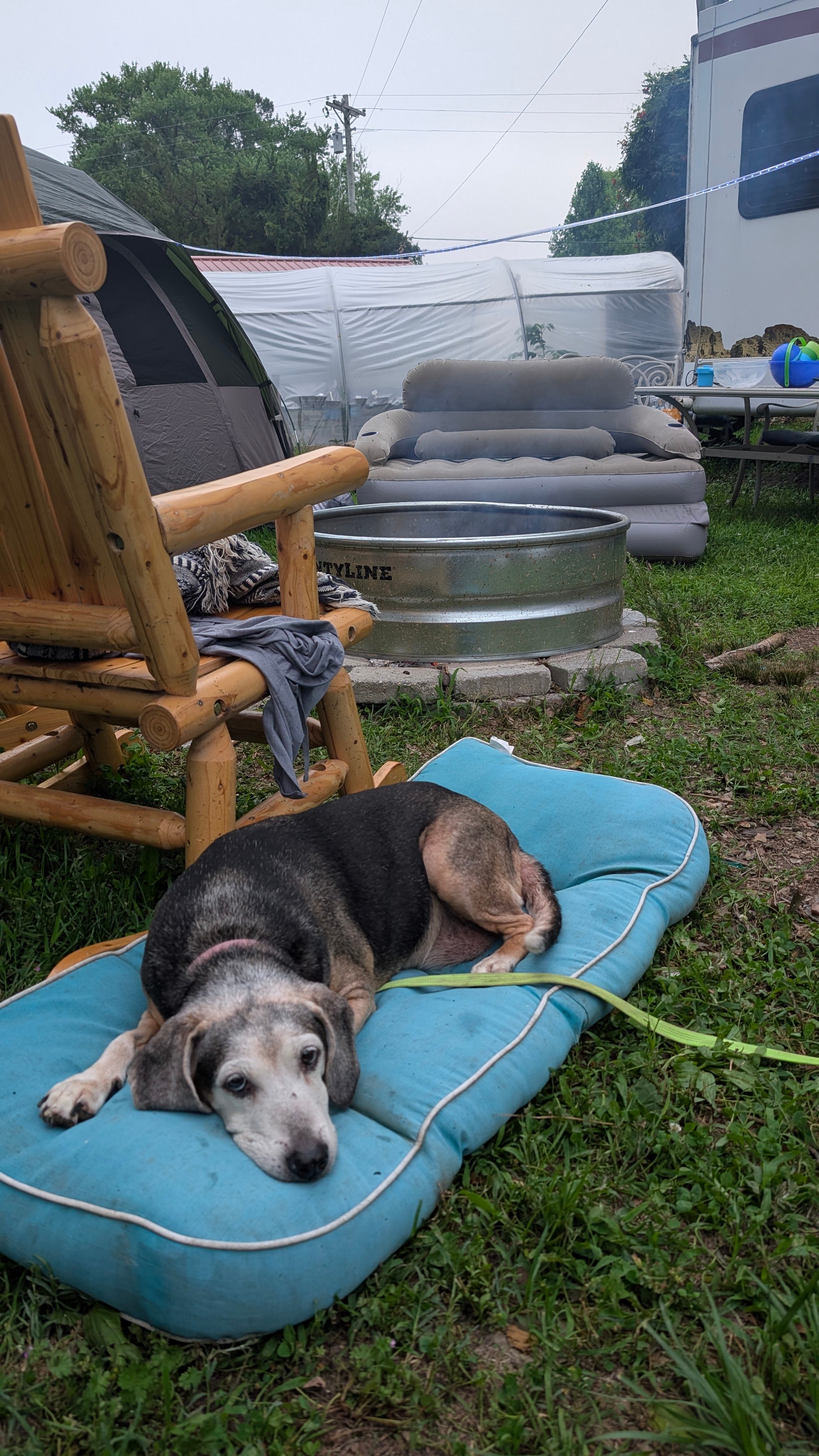 Spillway Farms And Homestead