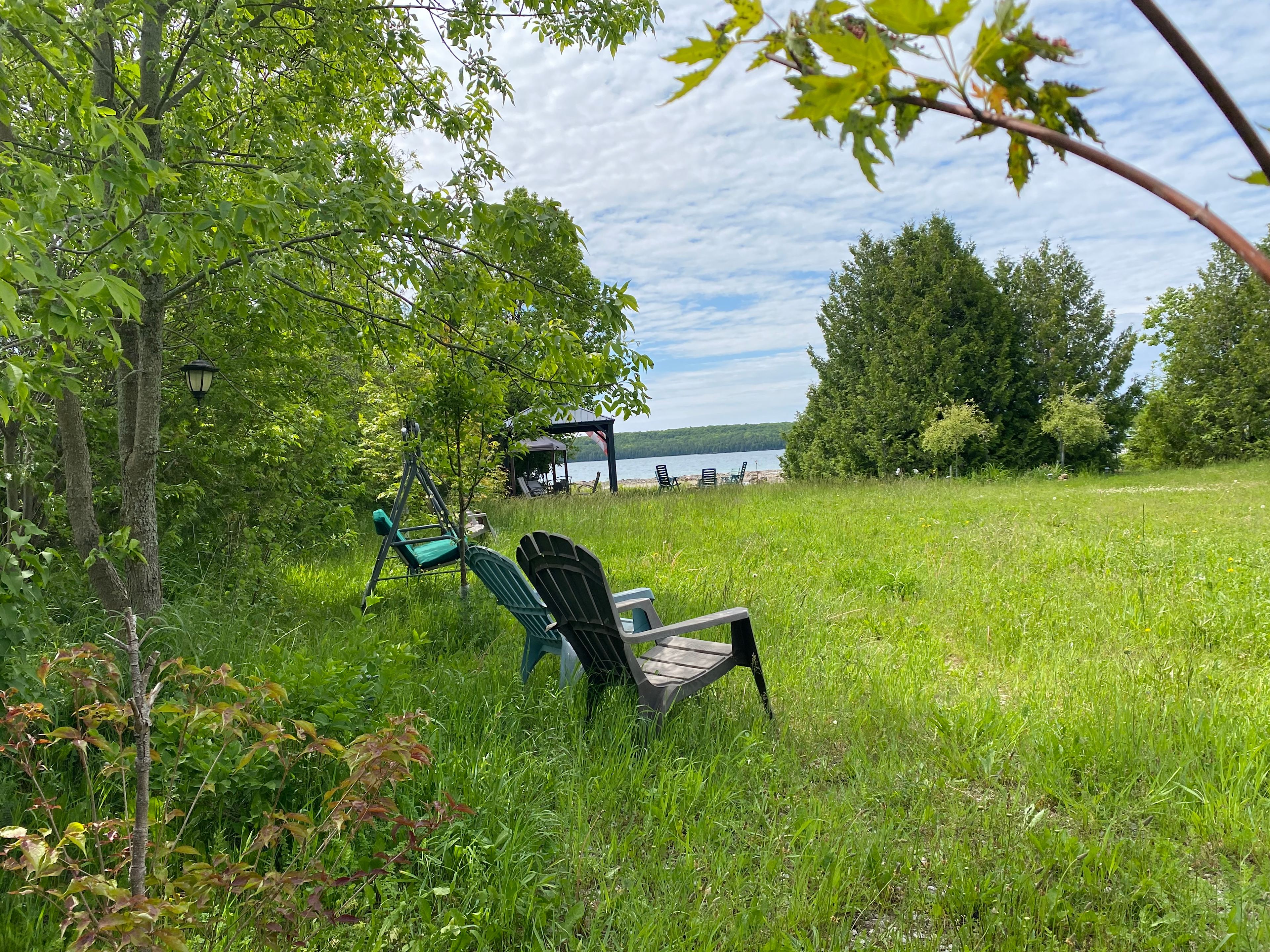 Sometimes we like the grass longer… for wildlife and a more natural look. 