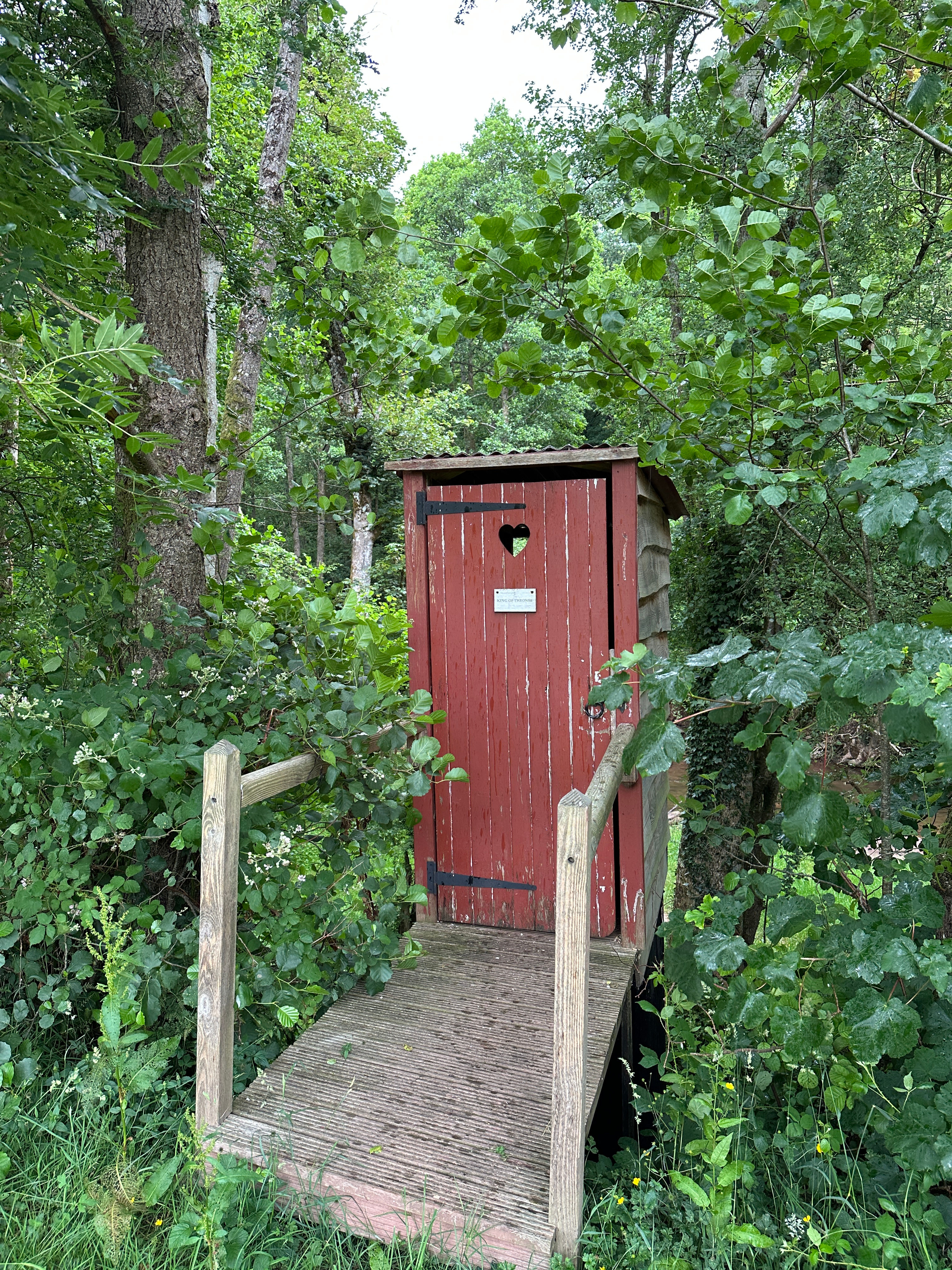 Pytingwyn Woods