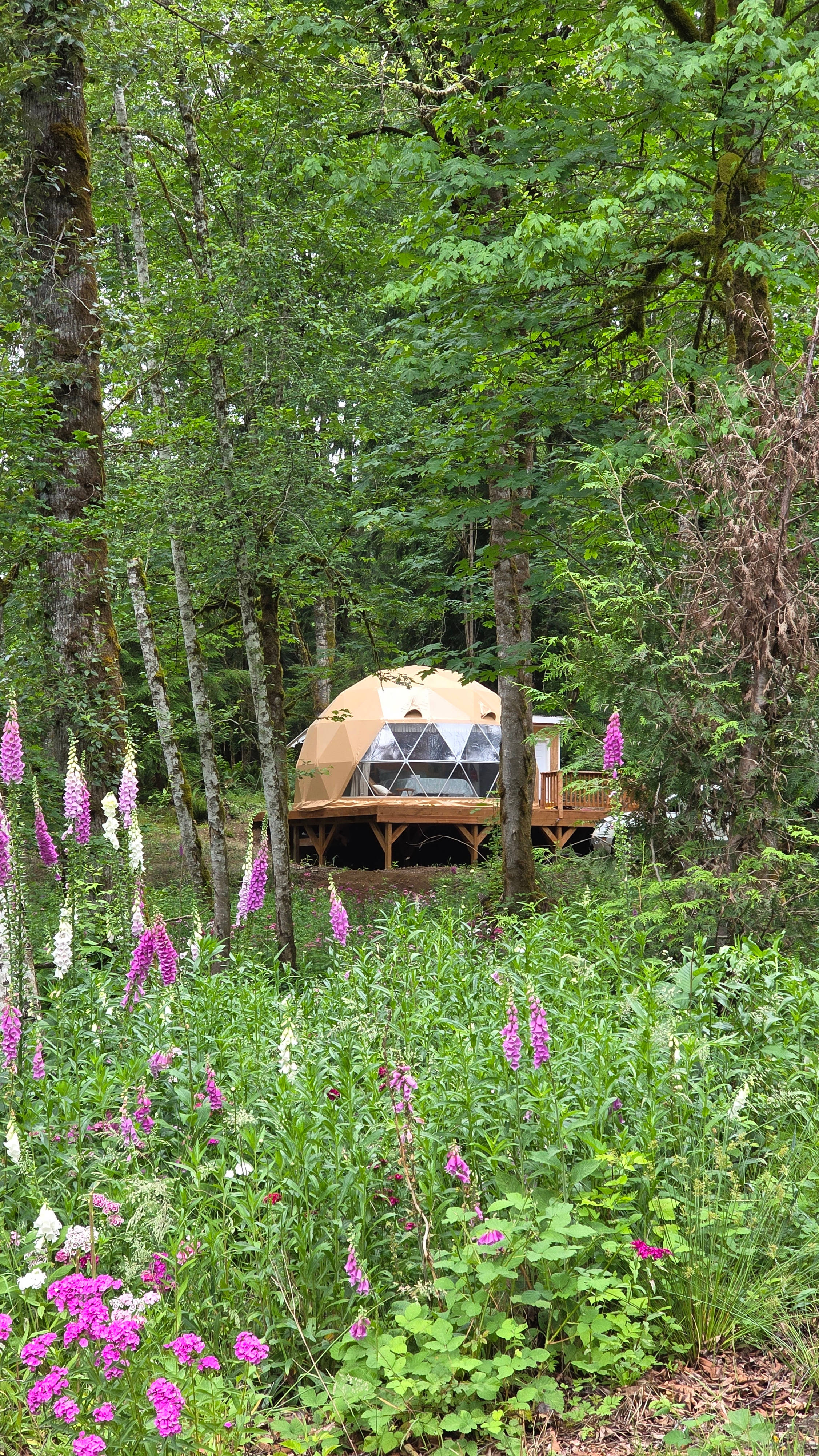 The Landing At Lake Ploenta