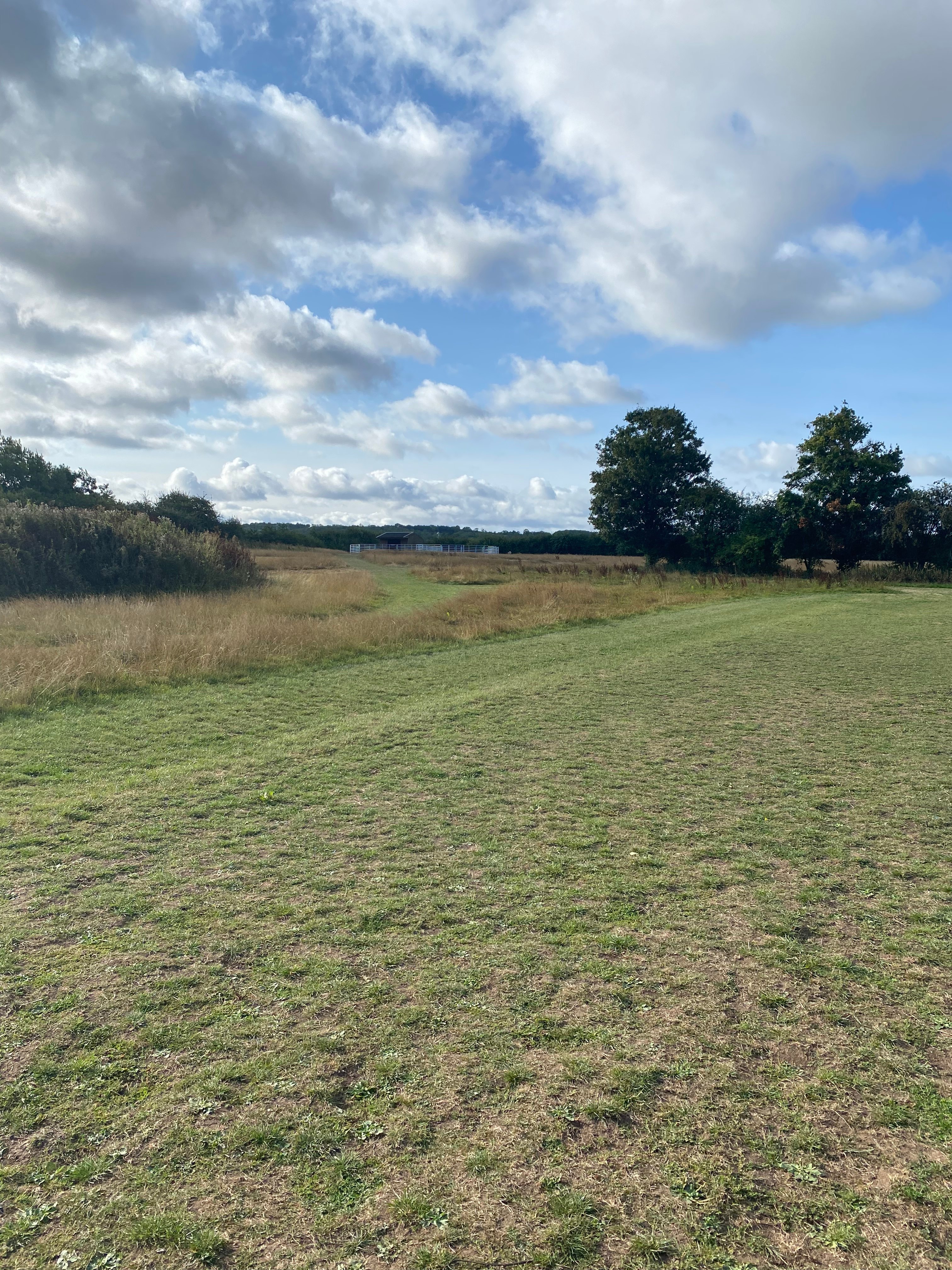 Owl Barn Farm Camping