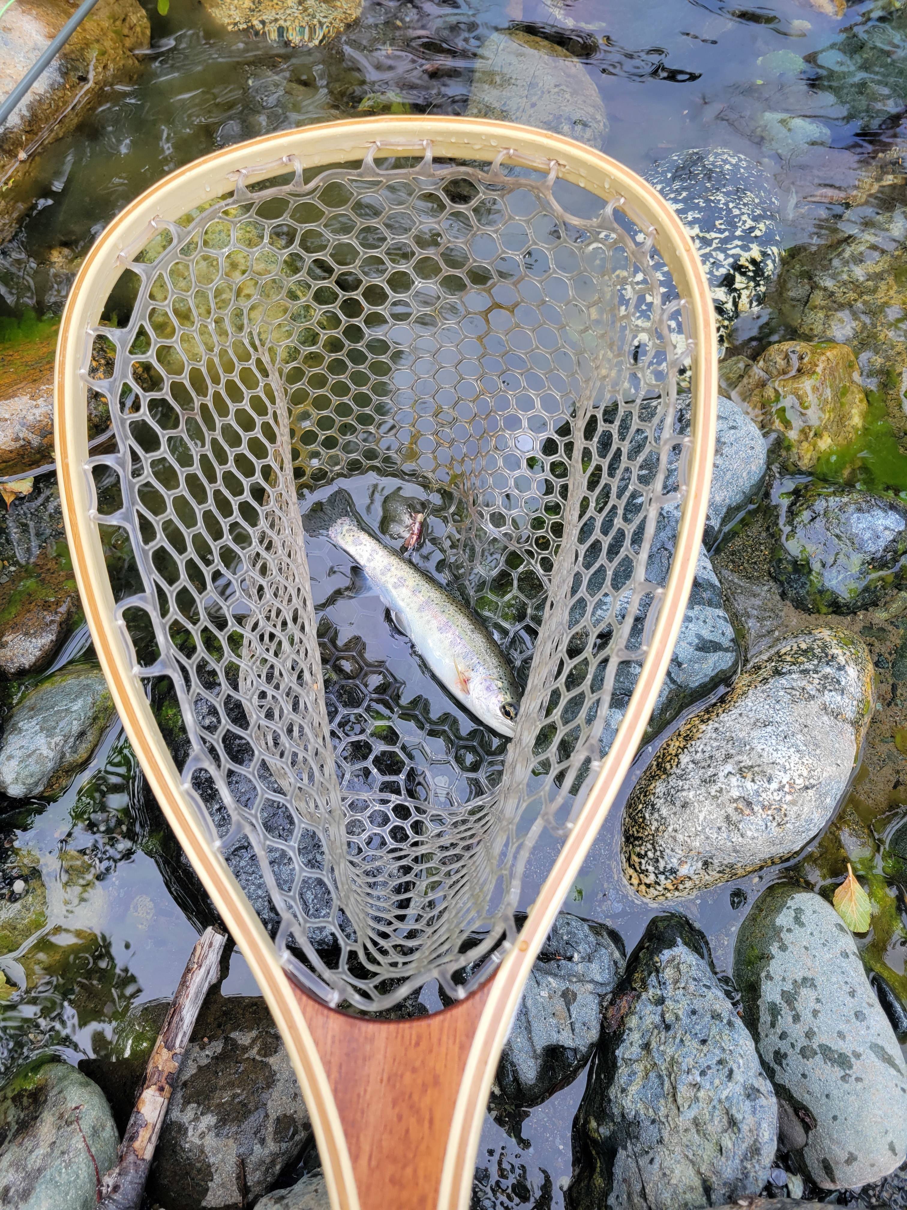 BIGFOOT FLAT on Willow Creek