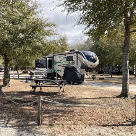Palmetto Shores RV Resort