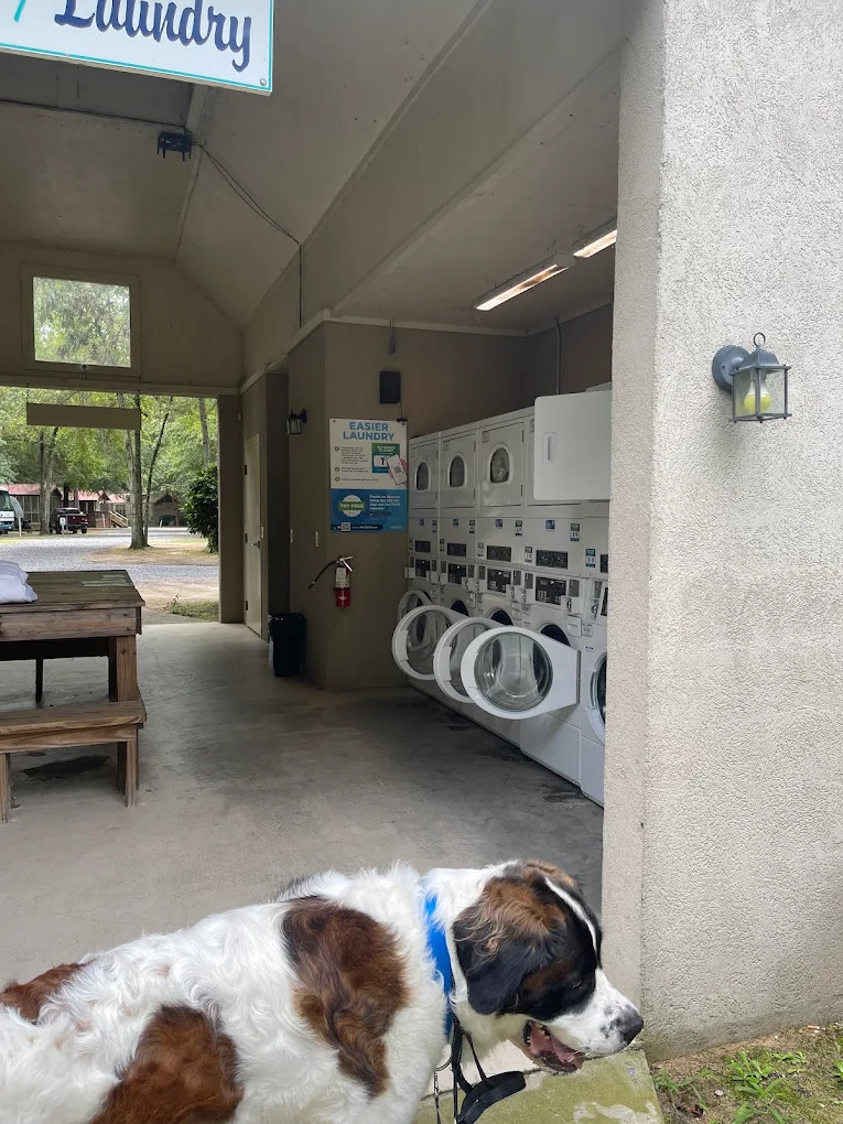 Palmetto Shores RV Resort