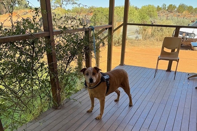 Warrawong On The Darling