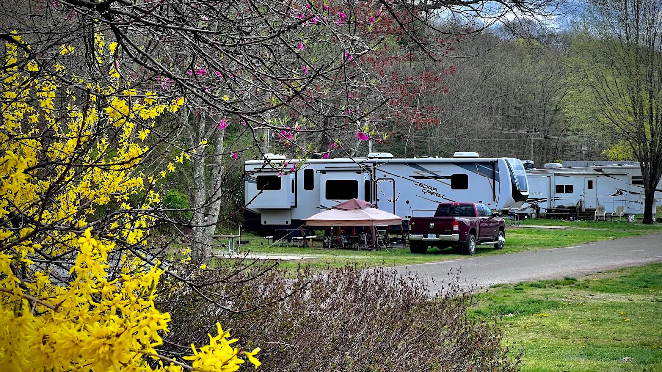 Riverdale Farm Campsite