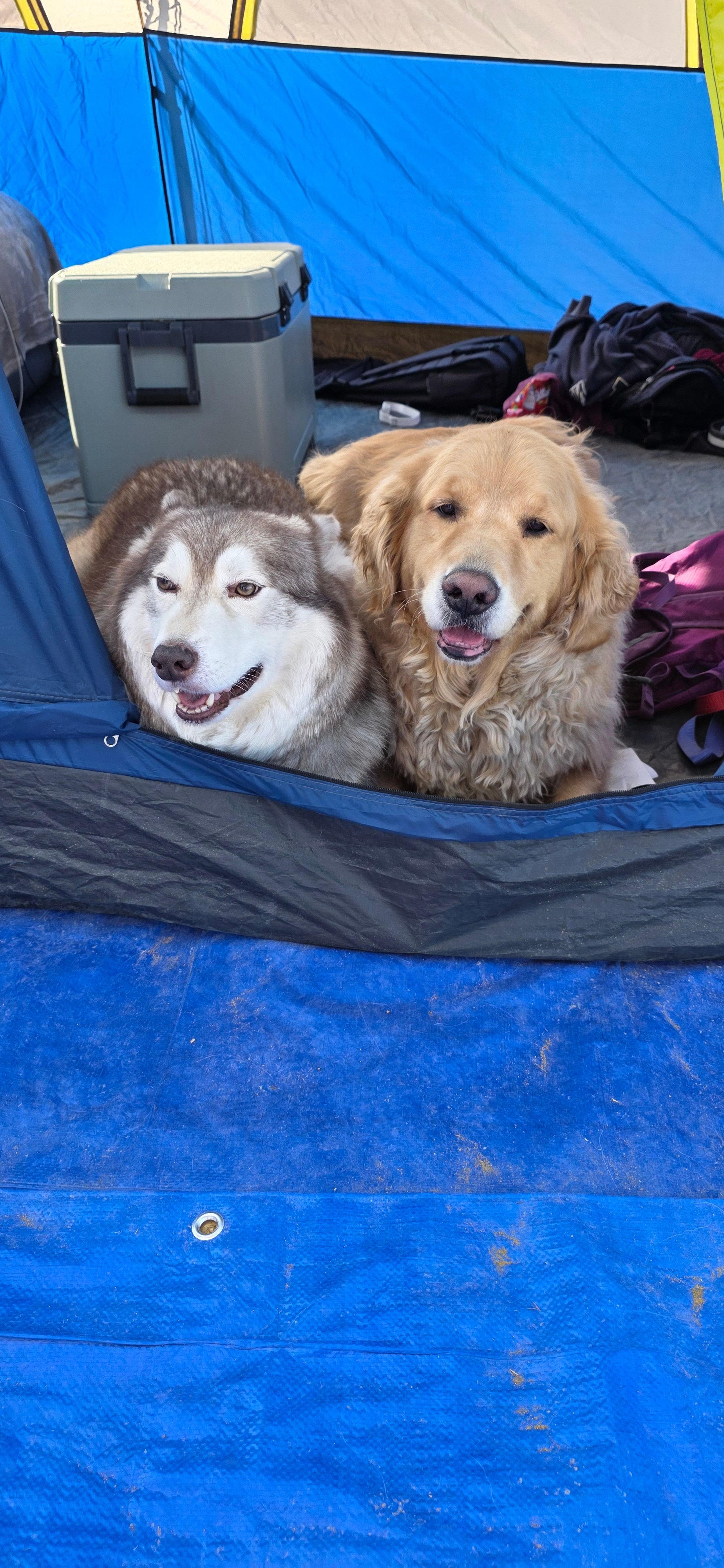 Paradise View Retreat